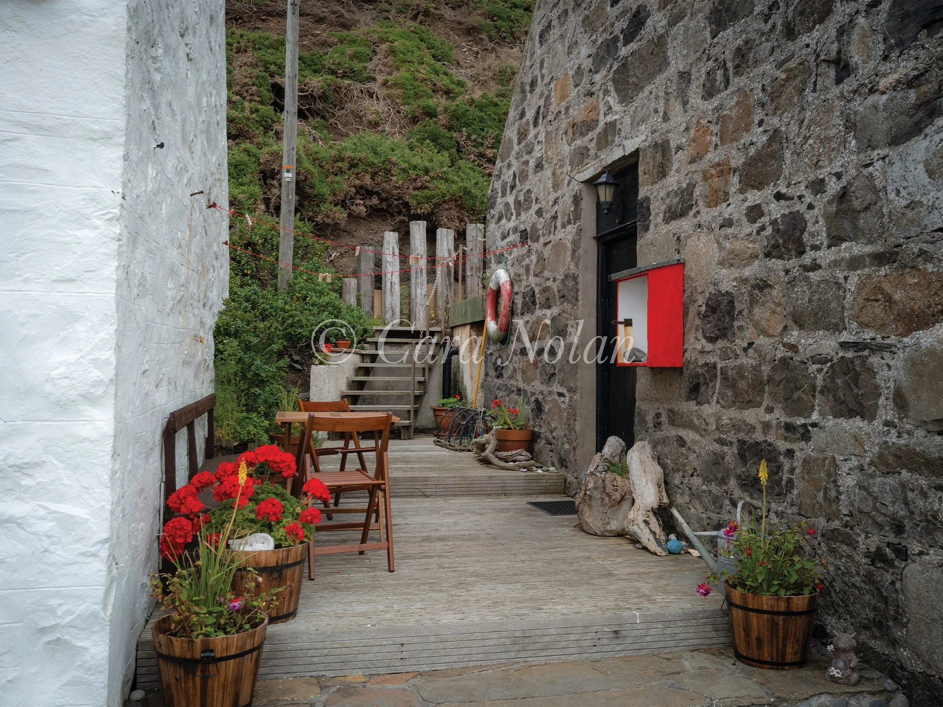 Crovie3rdc.jpg