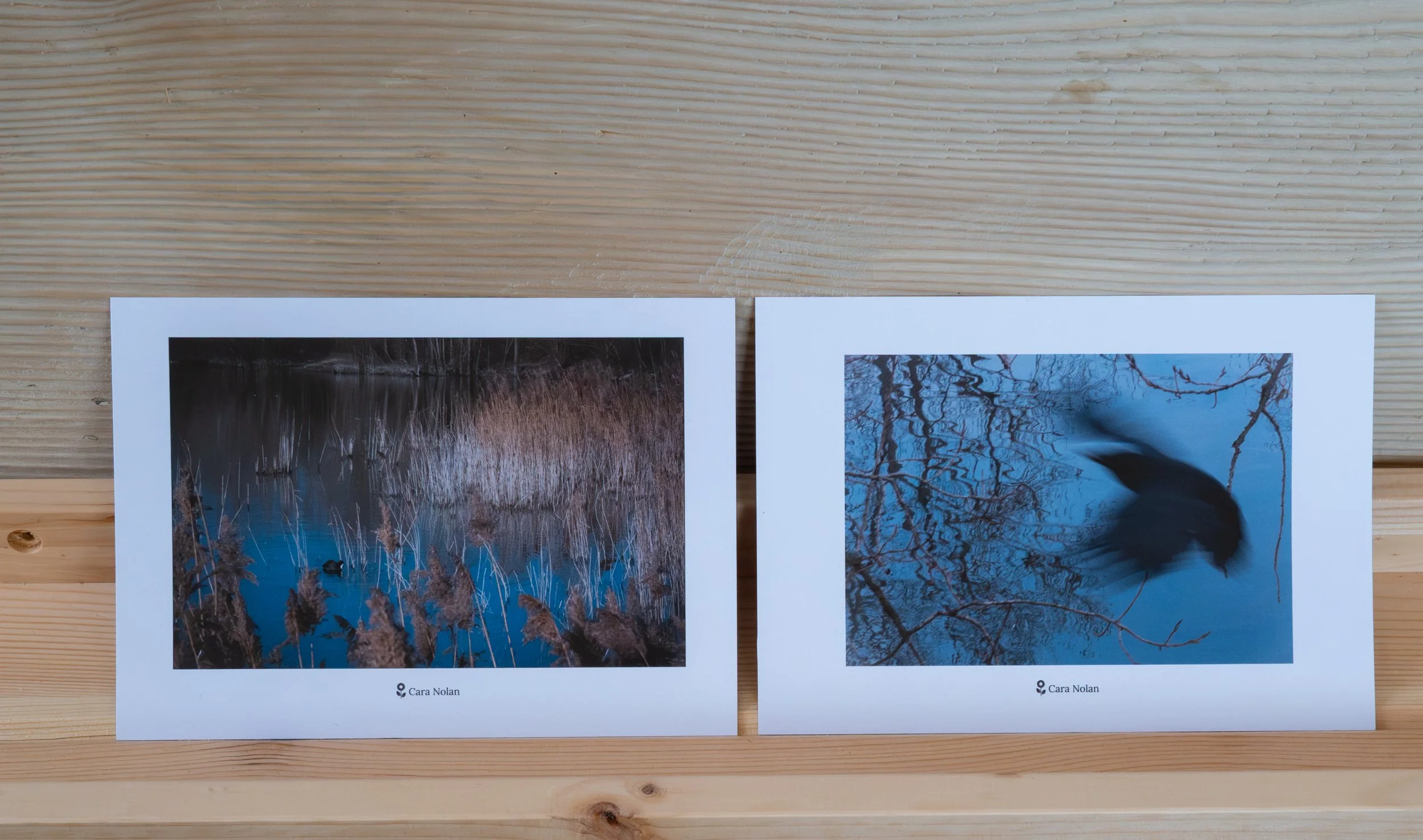 Ensemble de deux cartes postales - "Les Cours d'Eau des Yvelines"