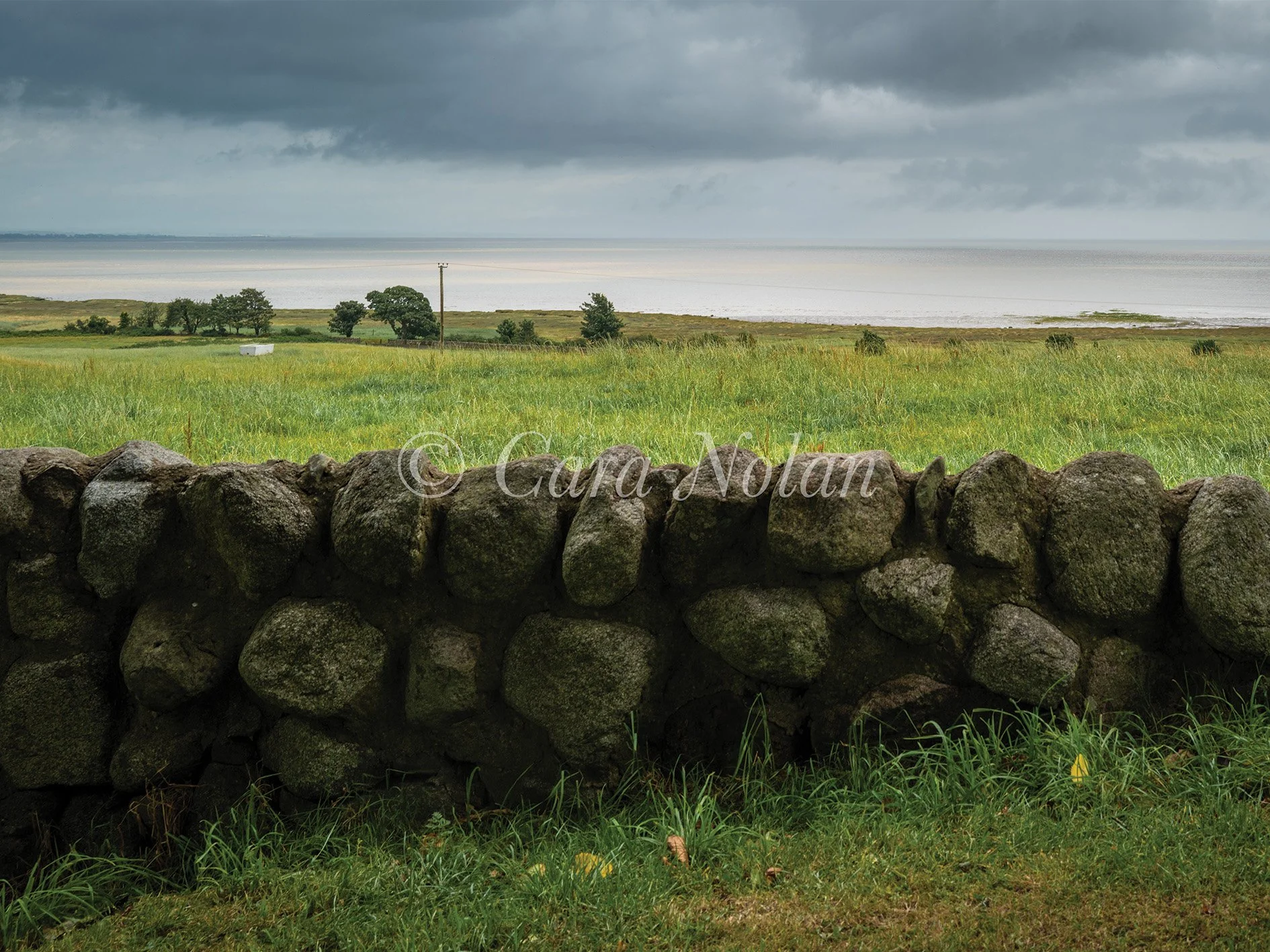 viewpointgallowayrdc.jpg