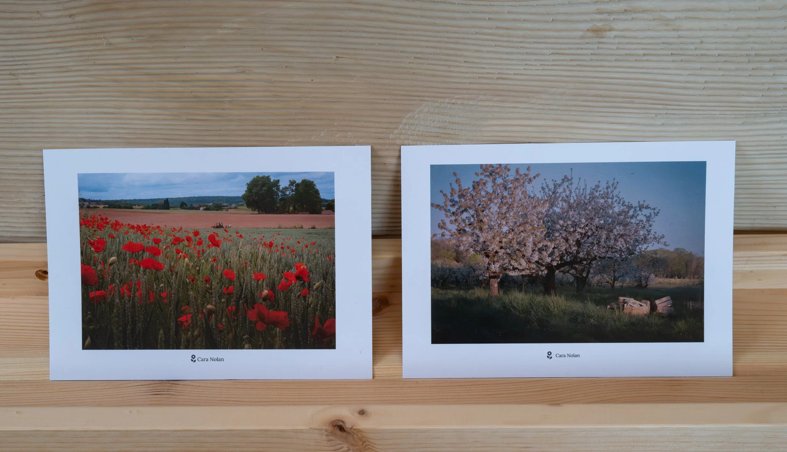Ensemble de deux Cartes Postales - "Les Champs des Yvelines"