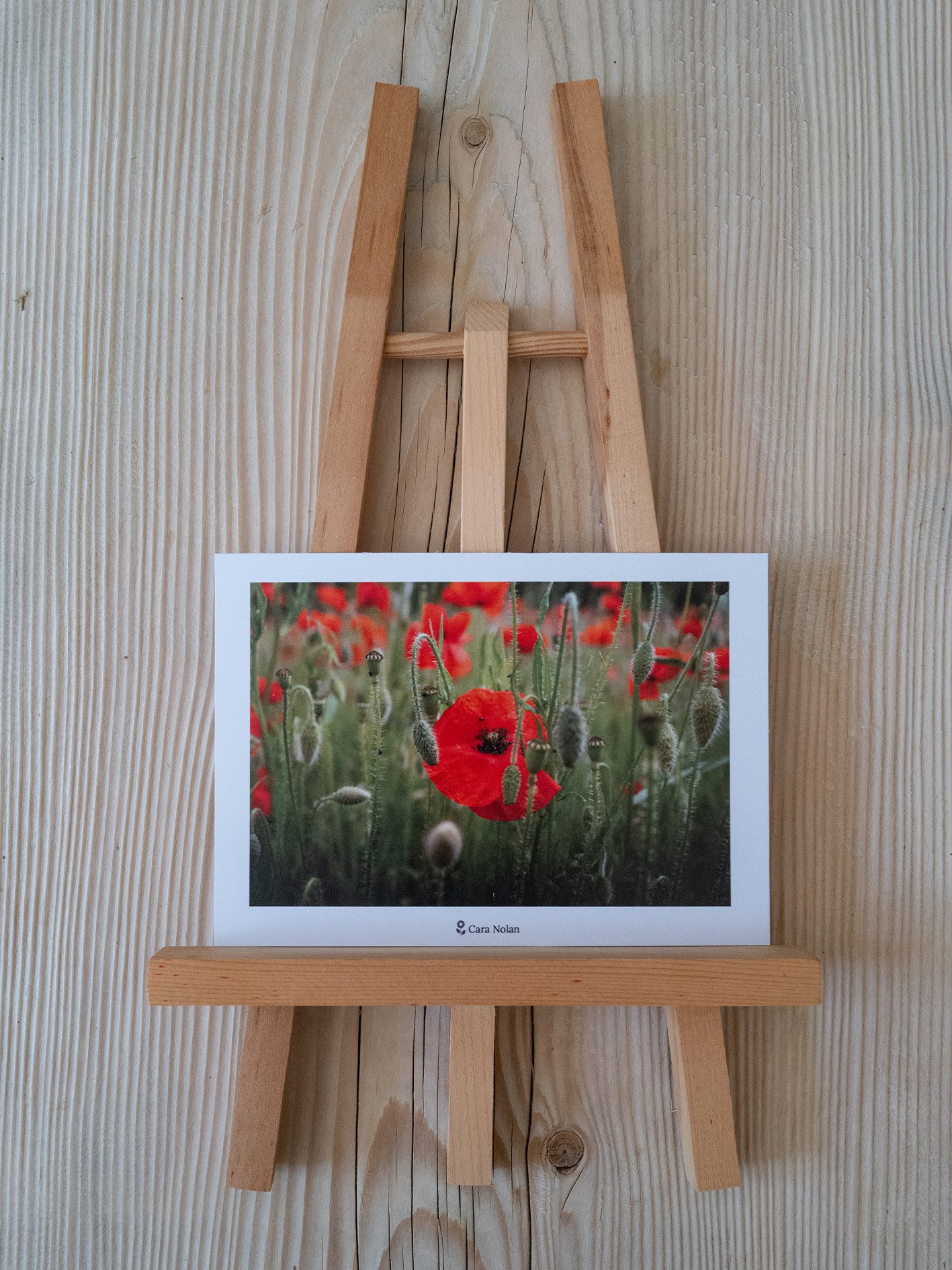 coquelicot.jpg