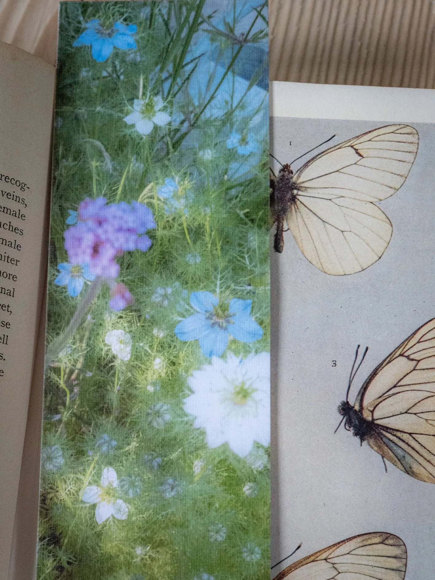 bookmark2reduced.jpg