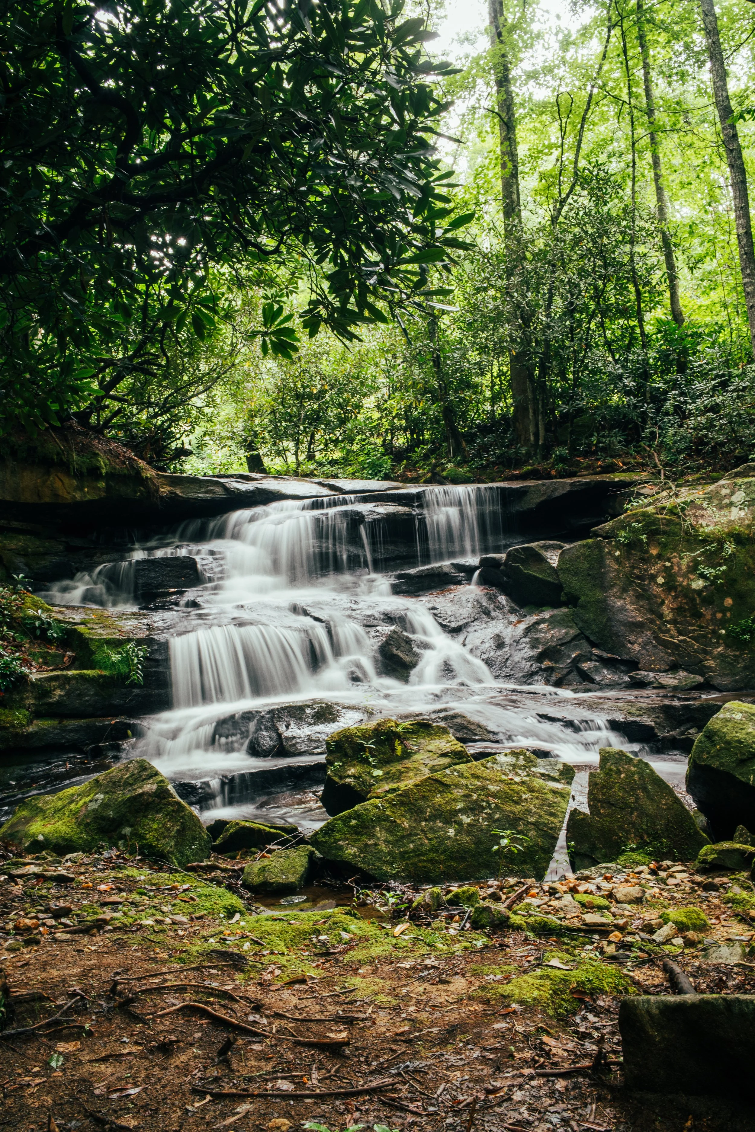 Tuxedo Falls – Where Luxury Meets the Wild in Zirconia, North Carolina