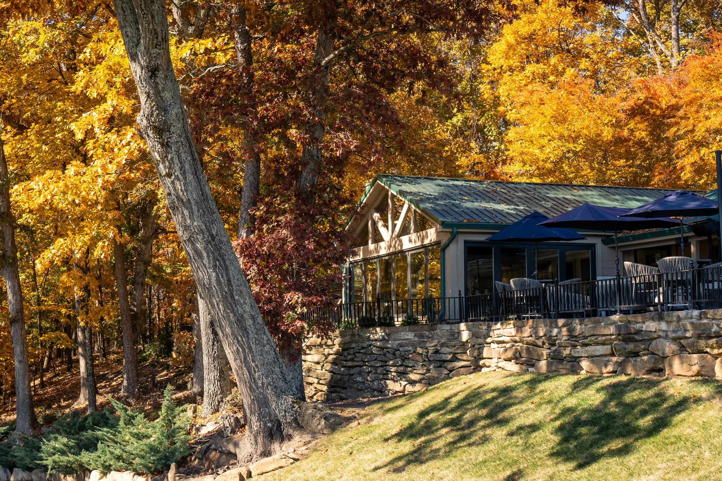 Celebrate a Rare Vintage and a Luxury Wine Day at Dynamis Estate Wines