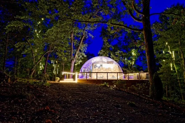 Would You Like to Escape Into the Forest in America’s Largest Transparent Dome? It’s Just 20 Minutes From Asheville