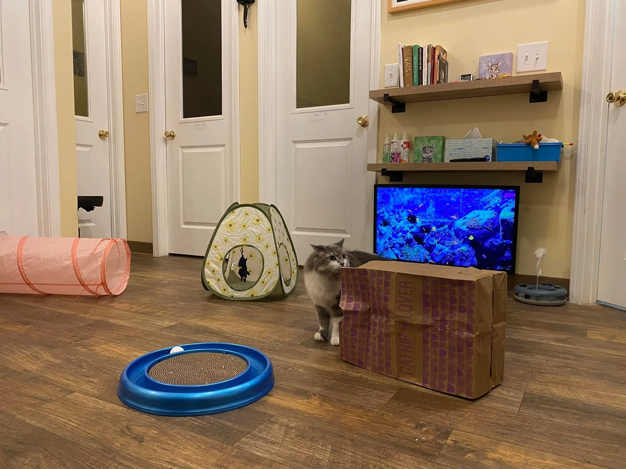 image1 (7).jpeg