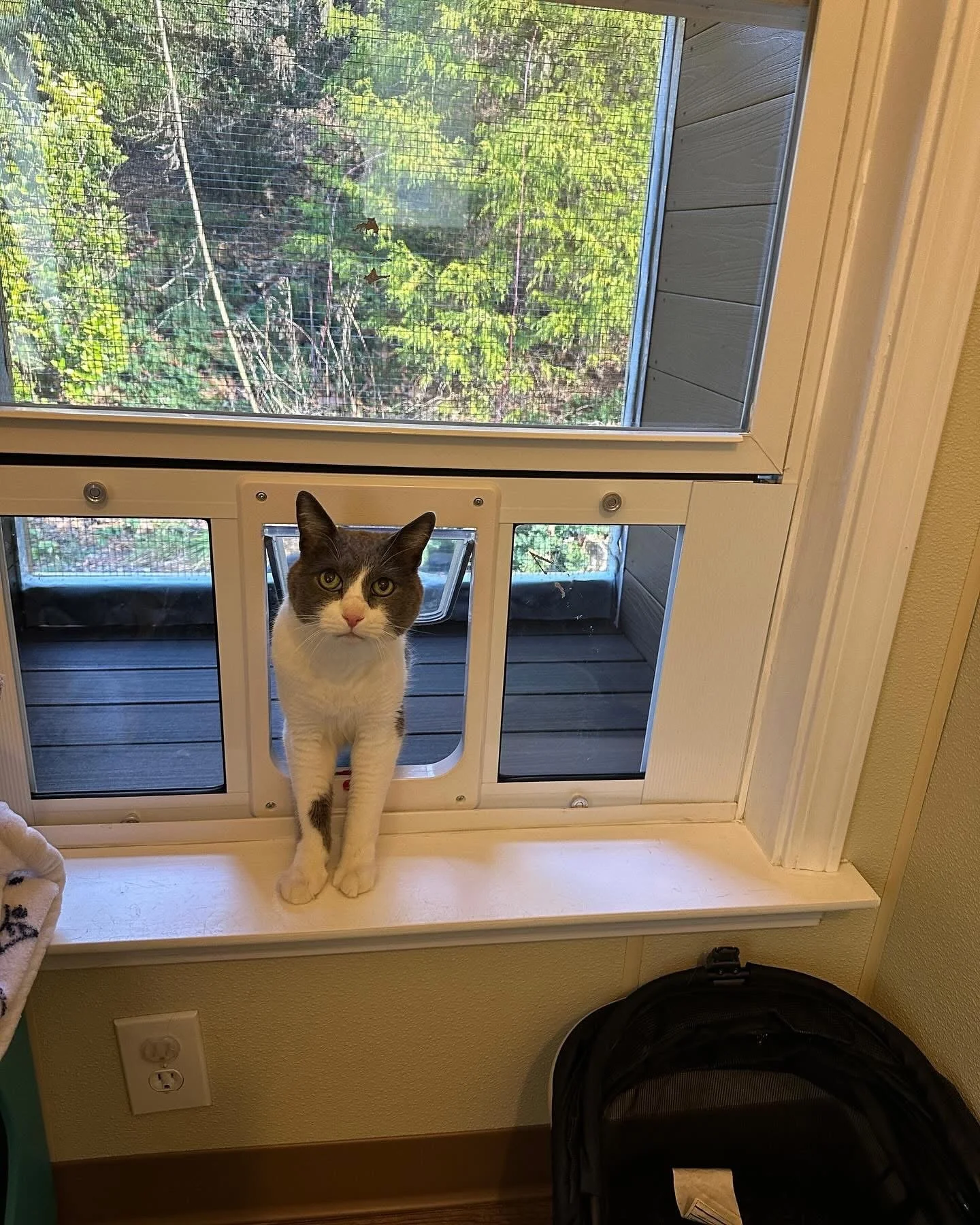 image11.jpeg