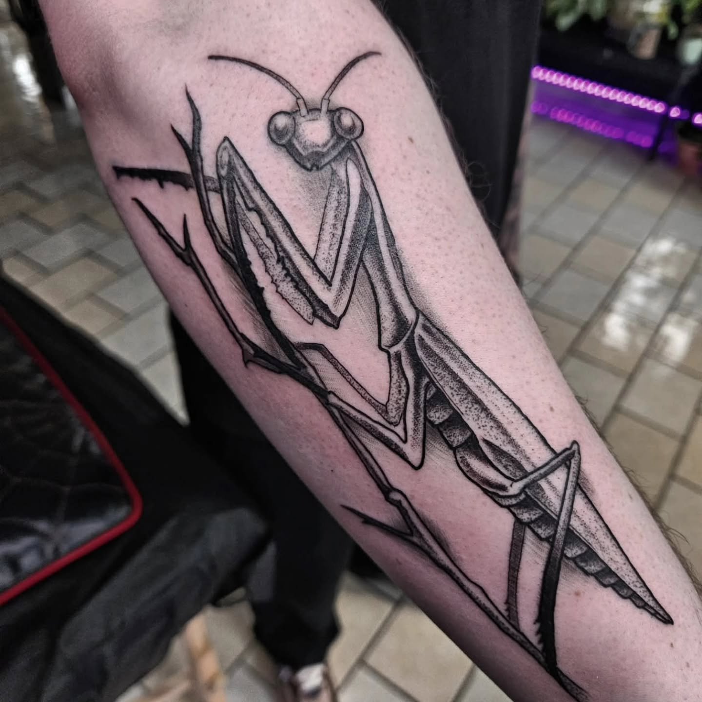 Drawn on preying mantis