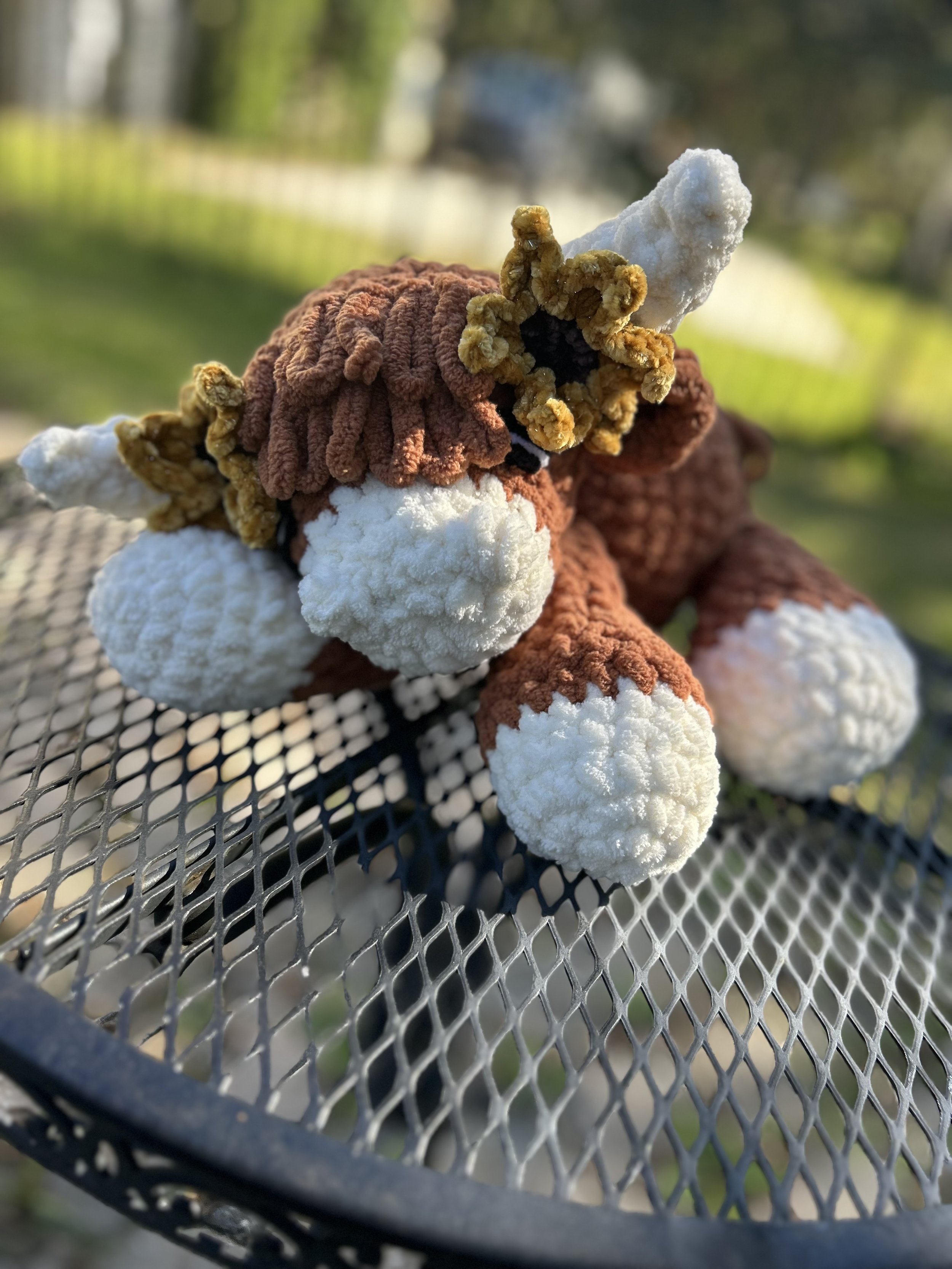 IMG_3089.jpeg