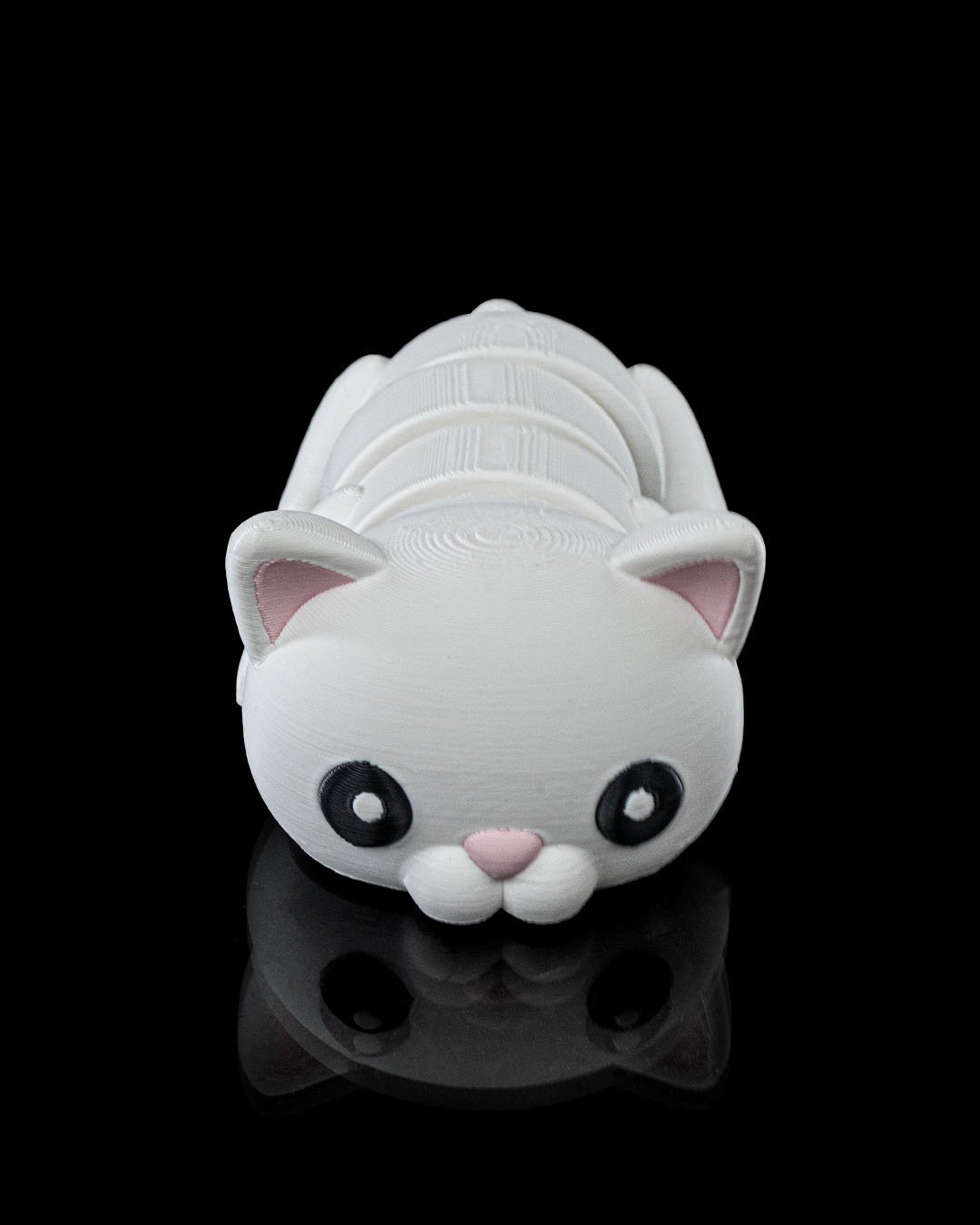 Gato1_077f05f28a.jpg