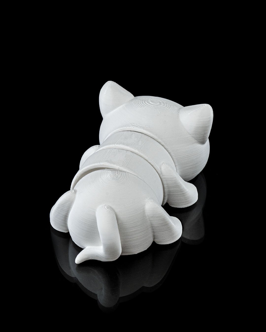 Gato4_875d2994dc.jpg