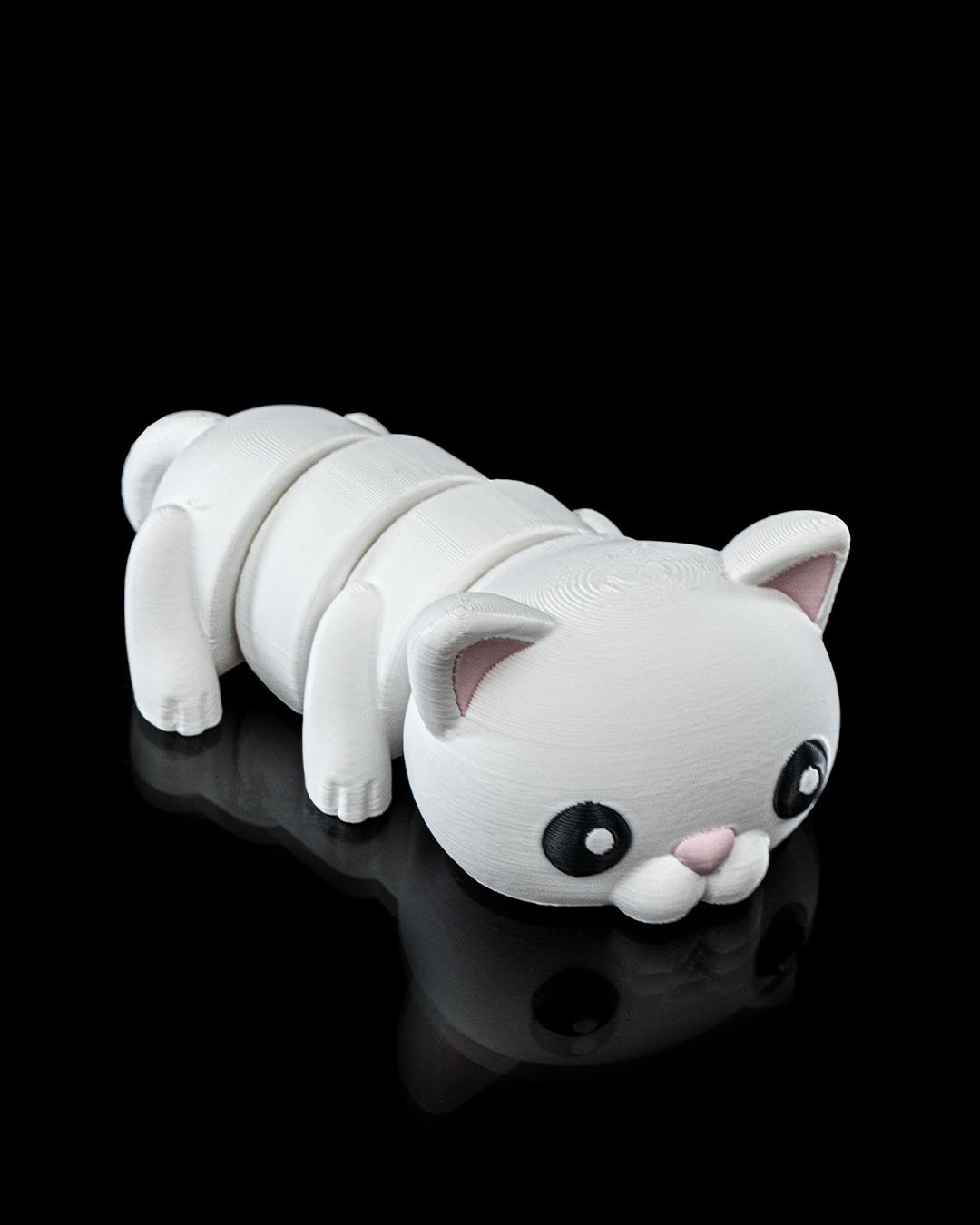 Gato5_1f5aad5eb5.jpg