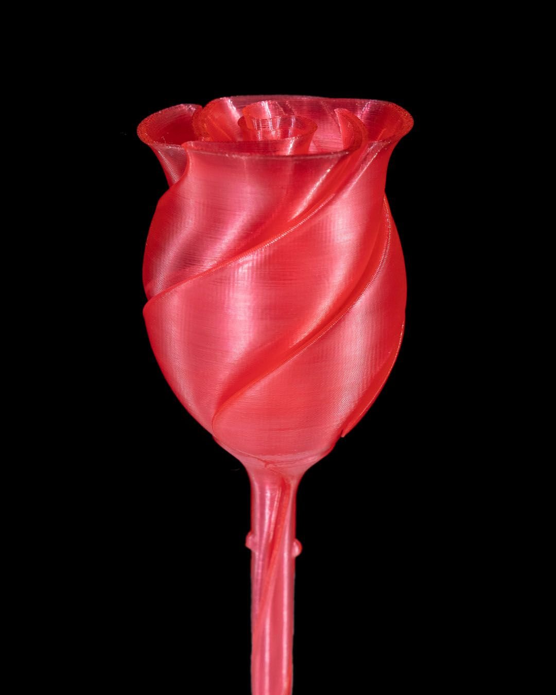 Twisted_Rose_5_1618197e5e.jpg