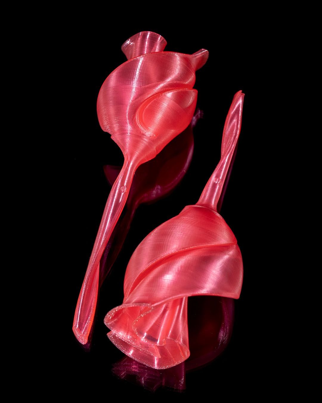 Twisted_Rose_4_7cc138c48d.jpg