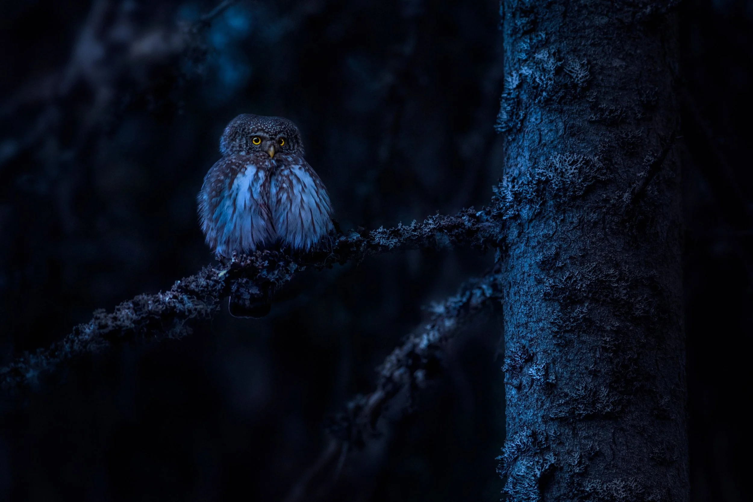 Finding the Soul