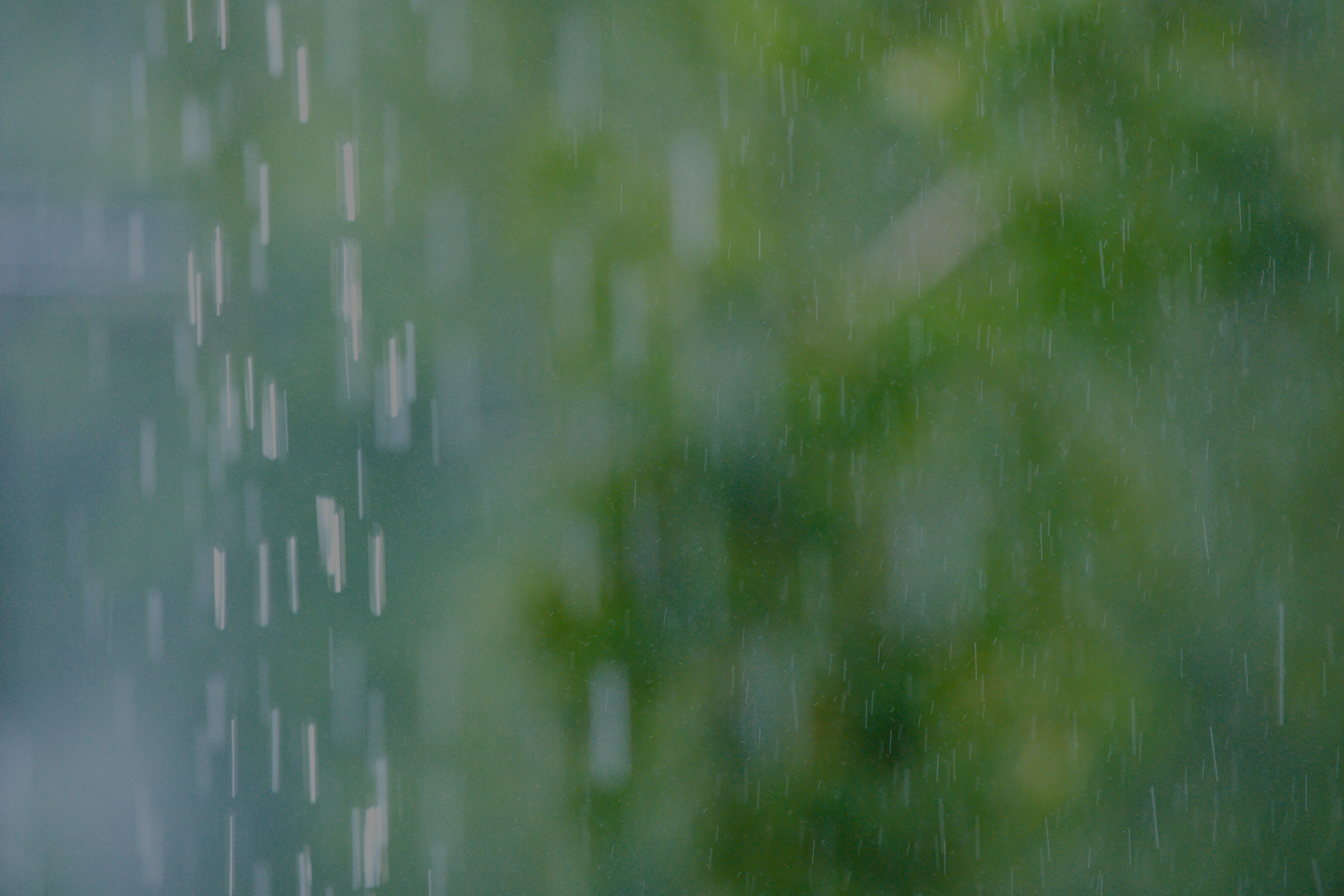Summer Rain Haiku