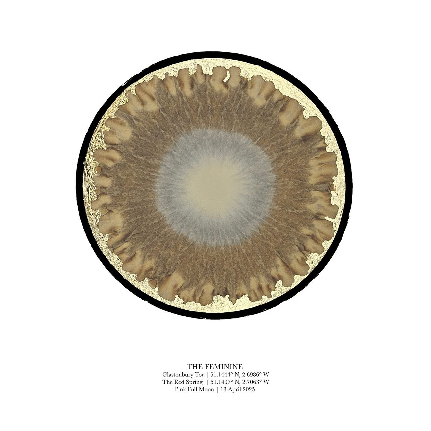 preview_f632a674_42fecf69.jpg