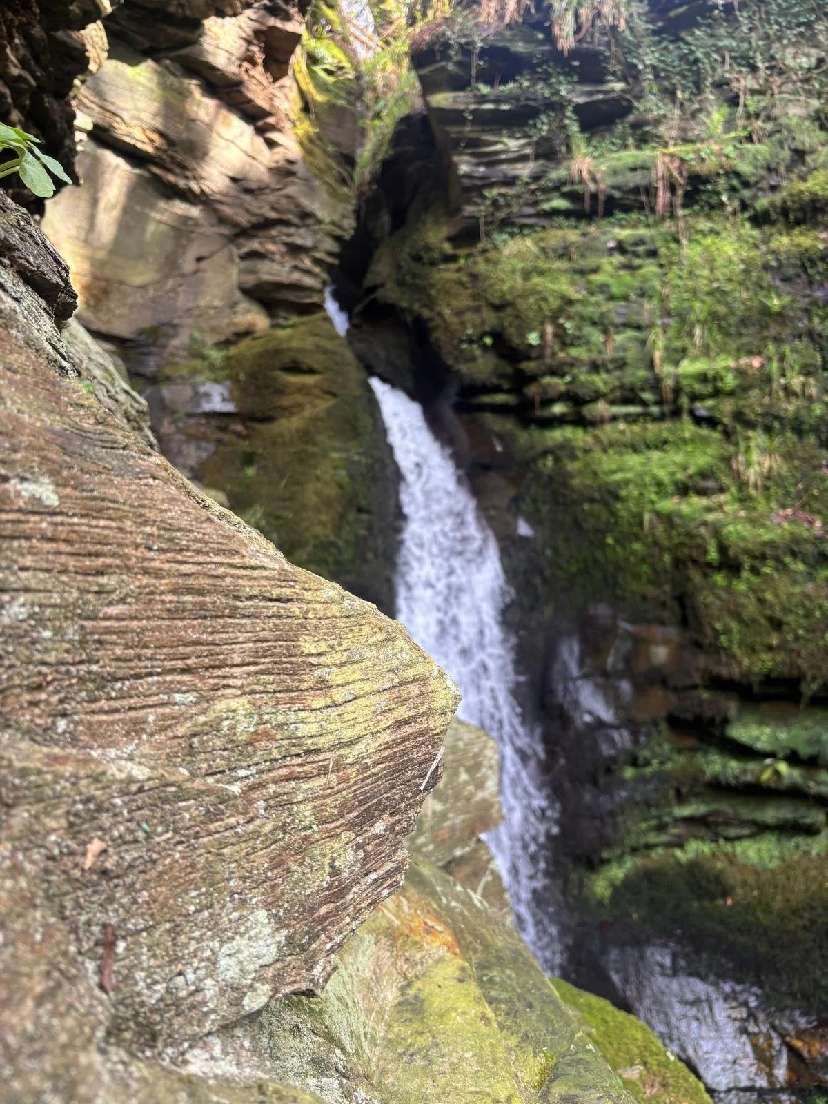 PHOTO-2026-04-09-20-04-36 3.jpg