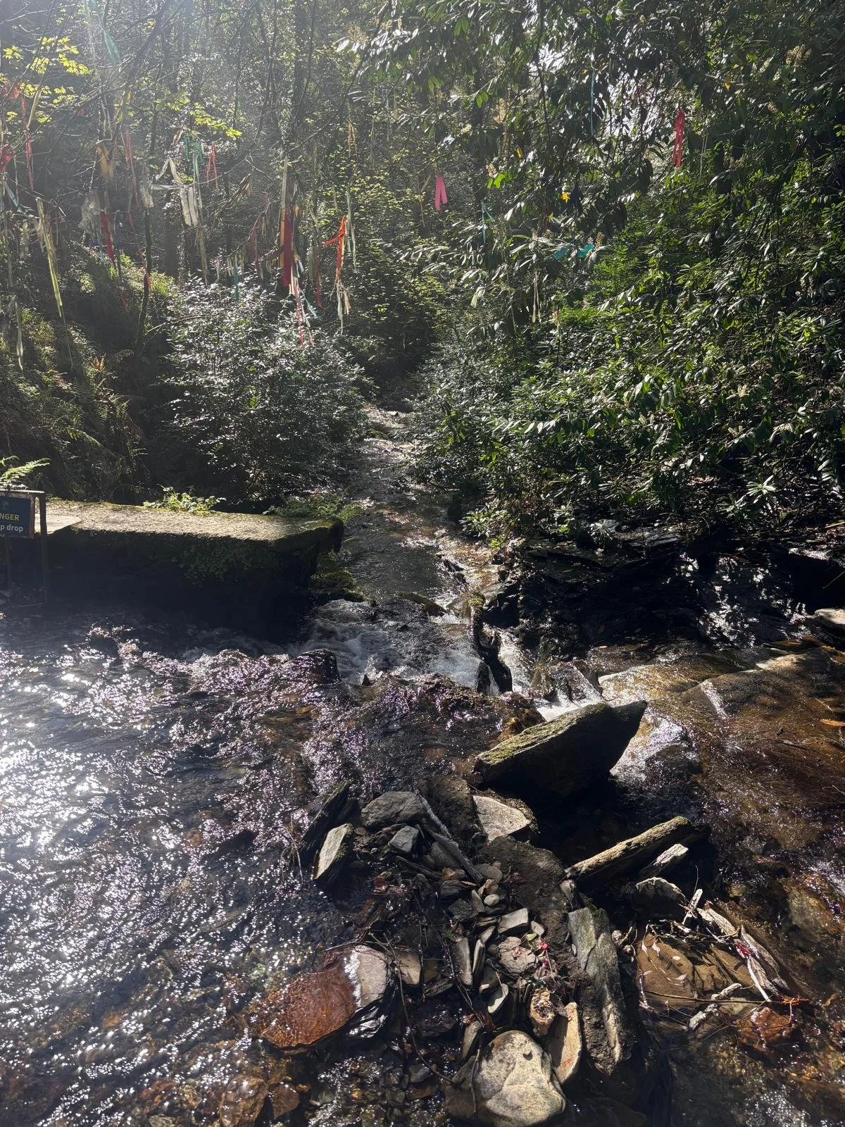 PHOTO-2026-04-09-20-04-36 2.jpg