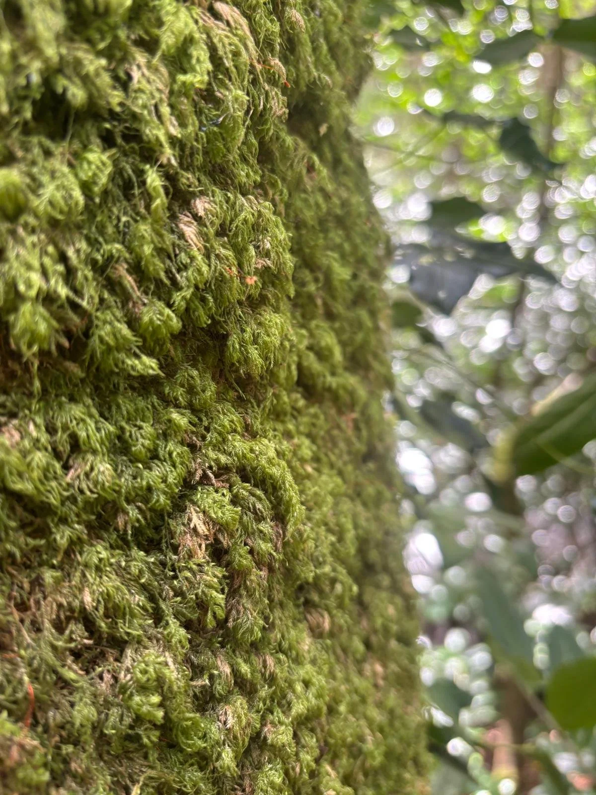 PHOTO-2026-04-09-20-04-35 2.jpg