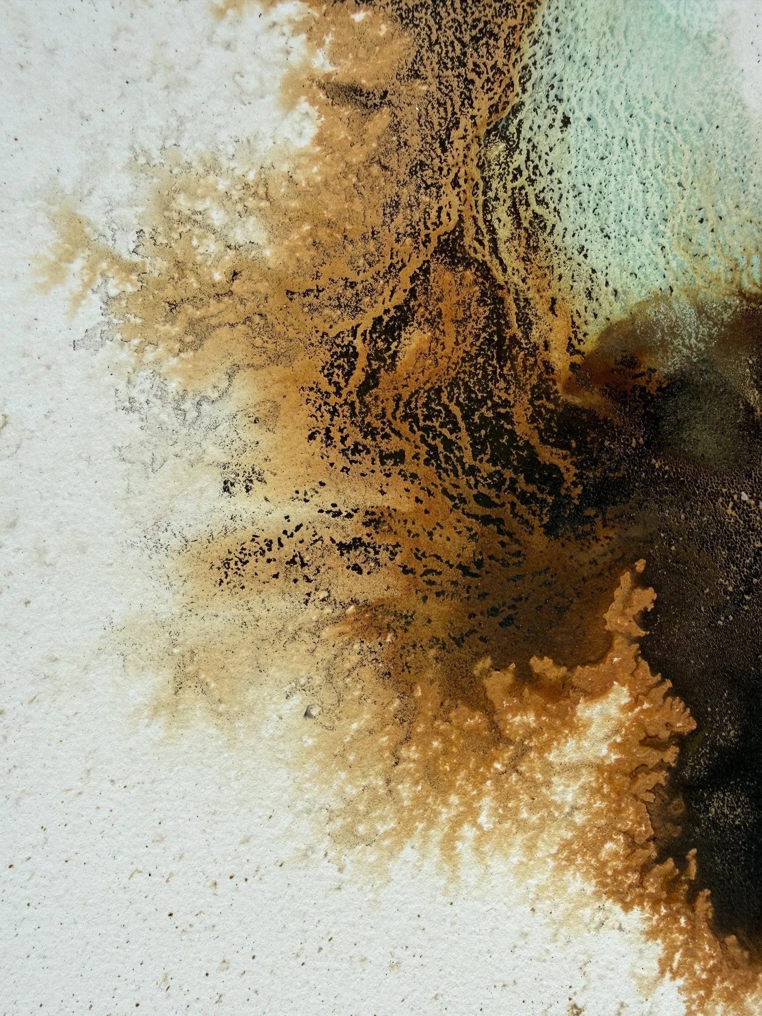 Earth Pigments