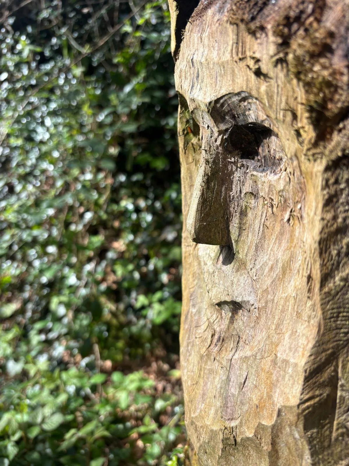 PHOTO-2026-04-09-20-04-36 4.jpg