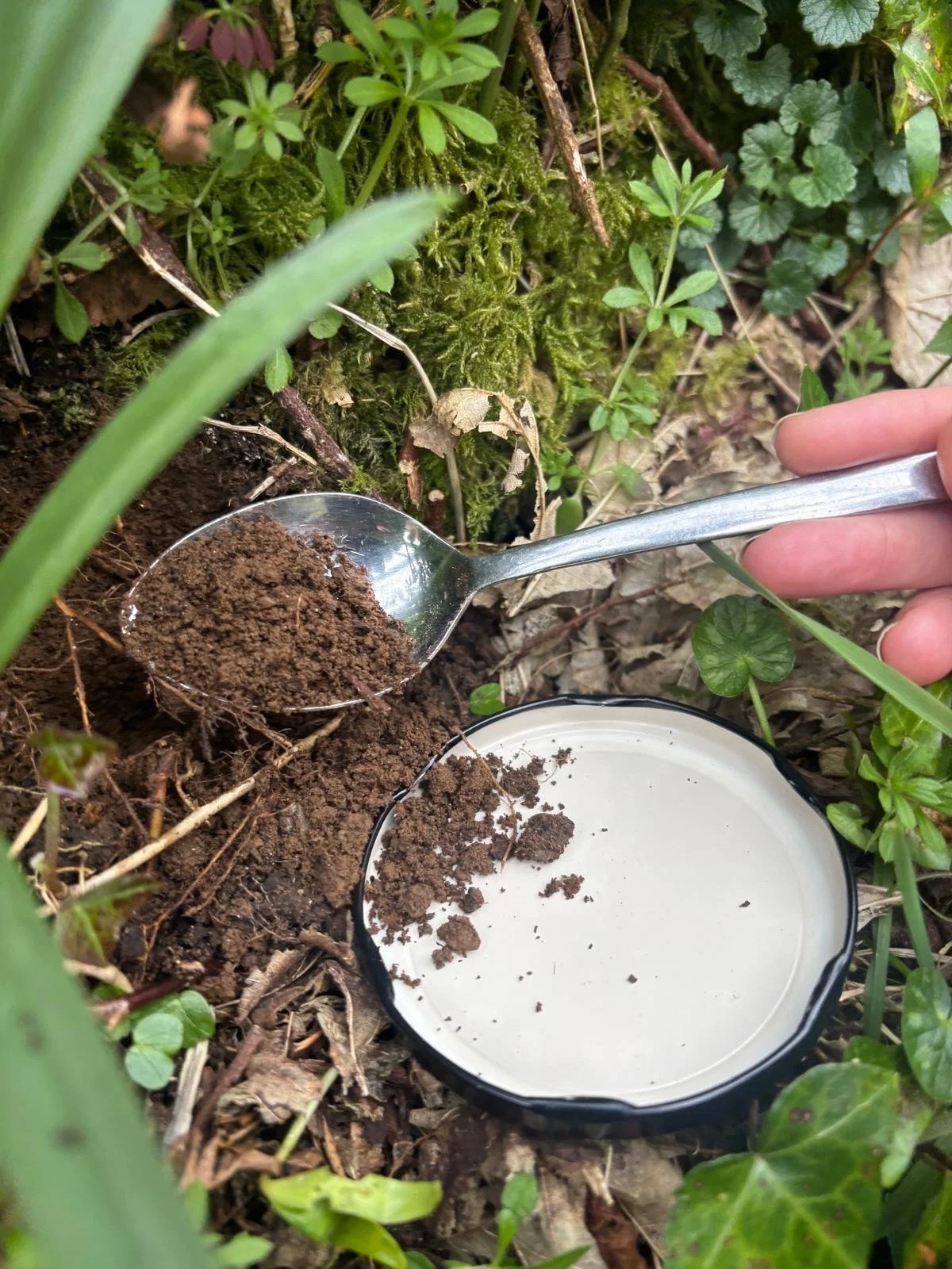 PHOTO-2026-04-09-20-04-36 6.jpg