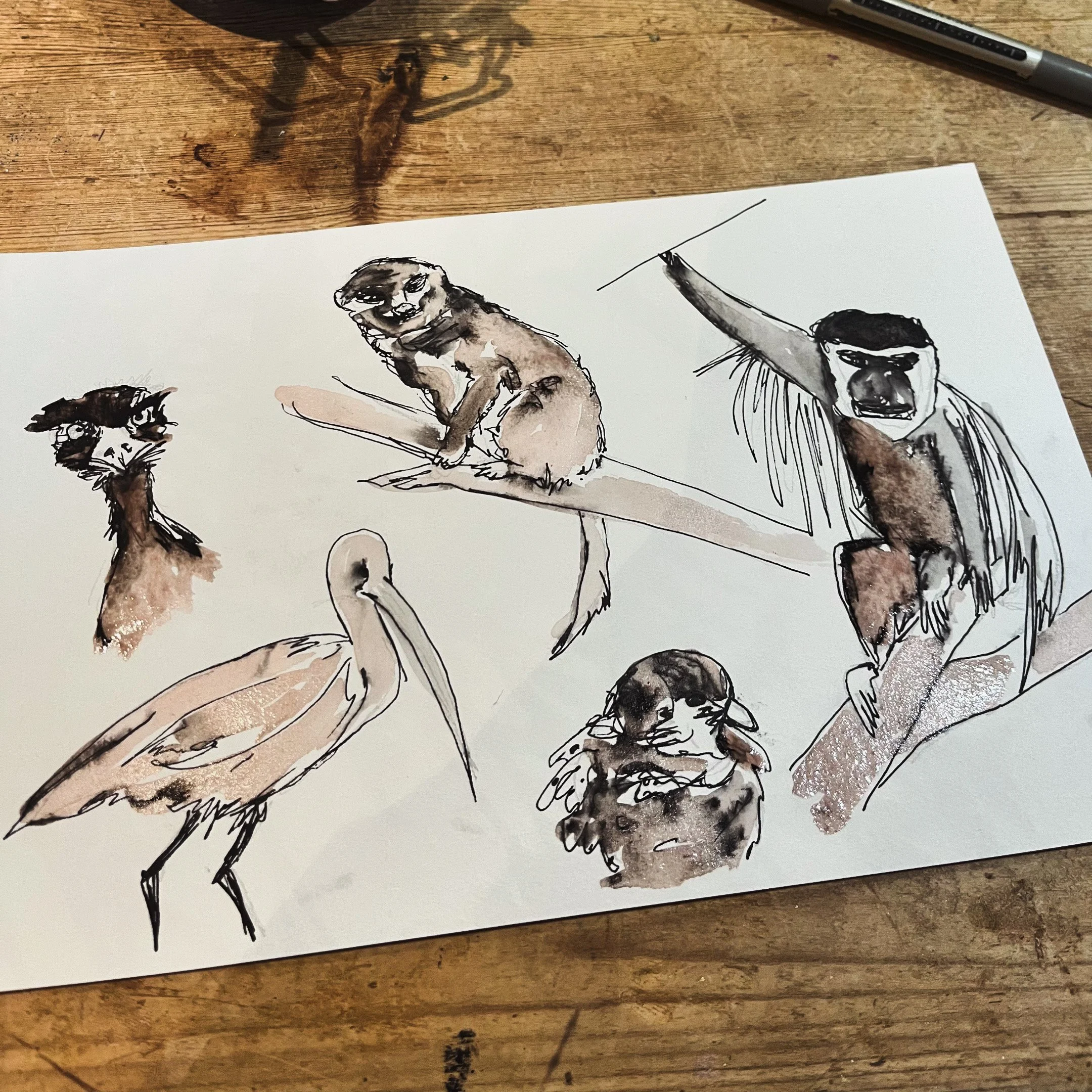 Zoo animals.JPG