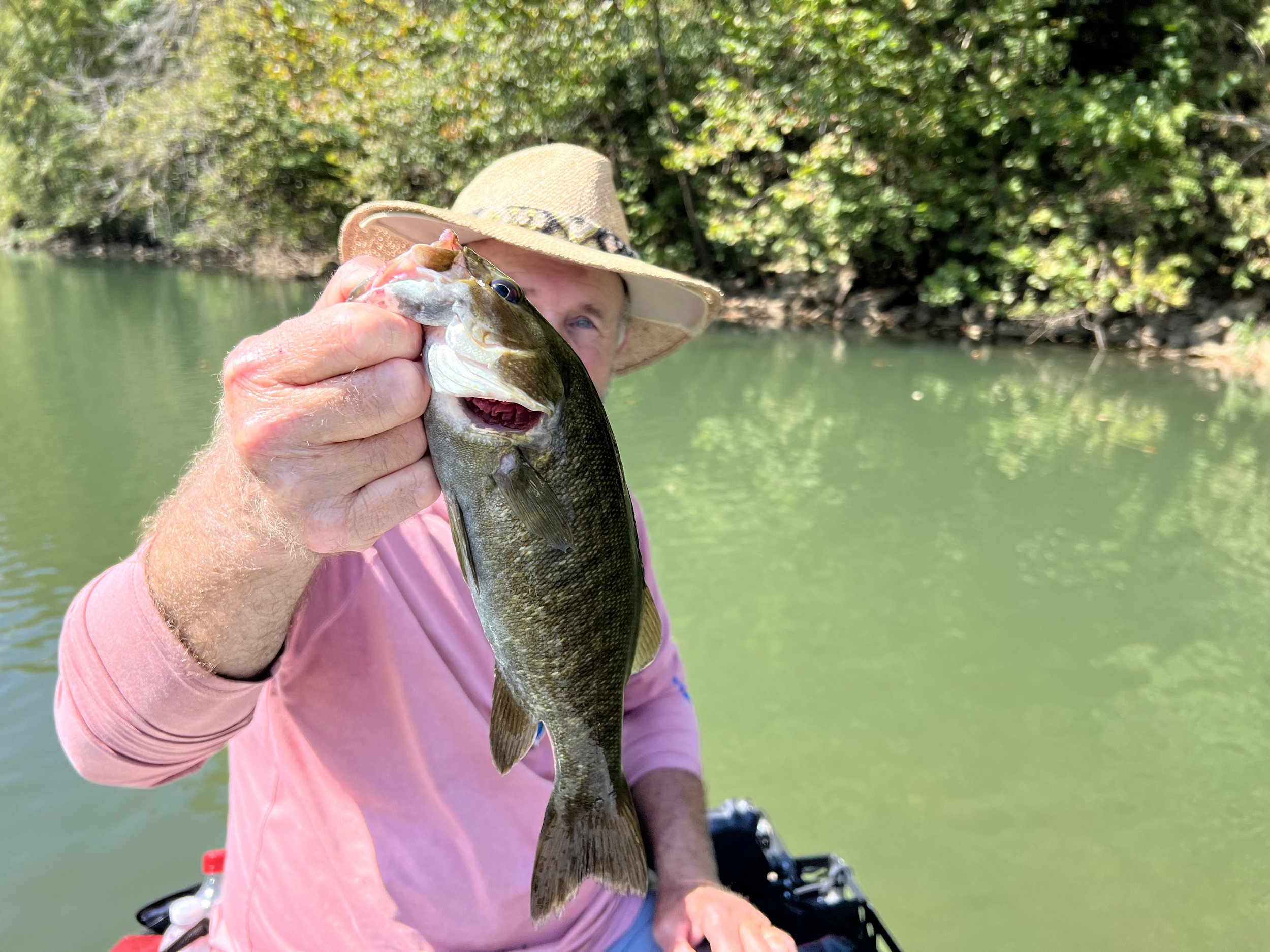 Guided fly fishing for large native Ozark smallmouth from Gasconade River Missouri.
