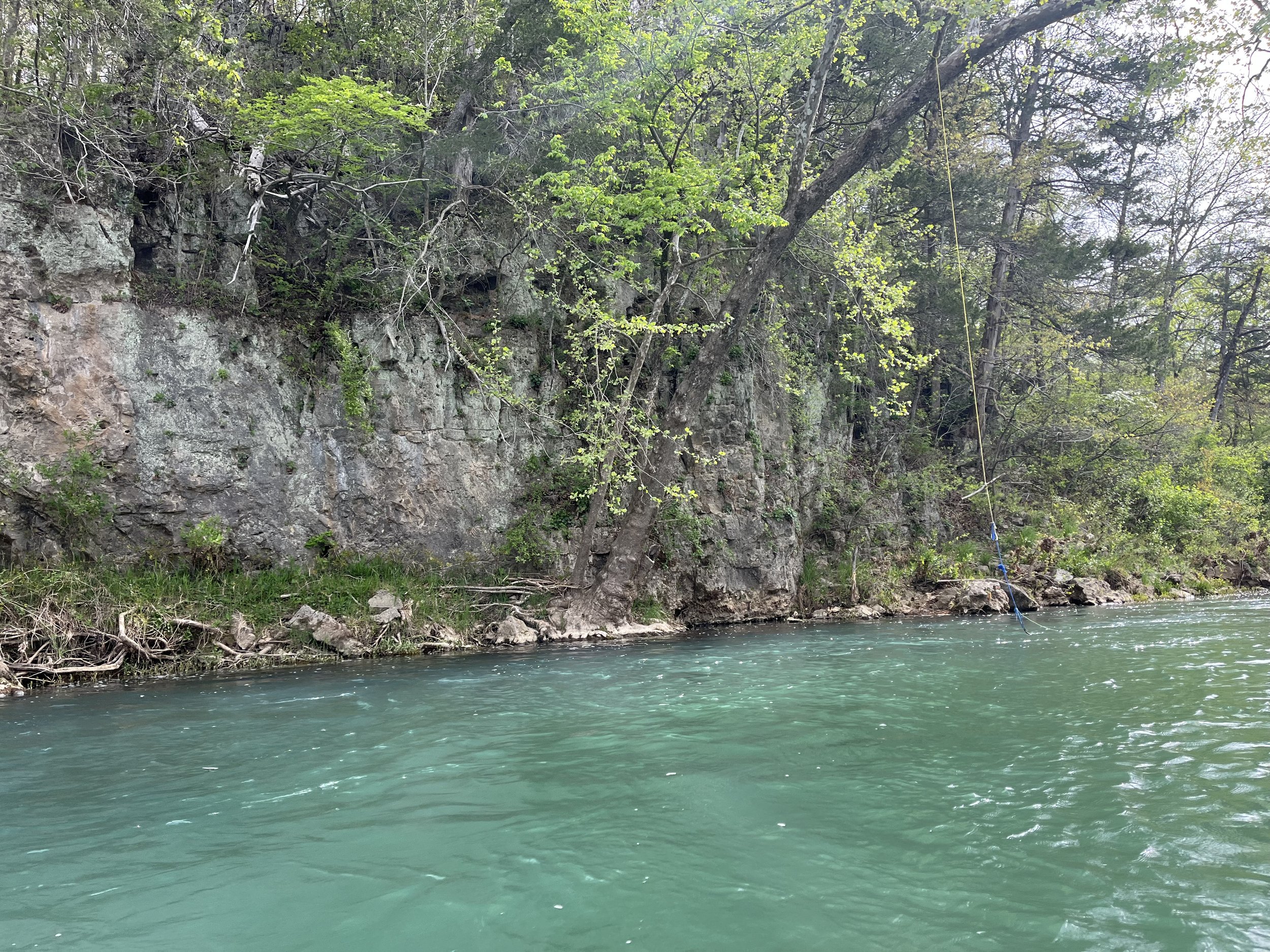 Information about COMO Fly Co's guided fly fishing float trips for smallmouth bass
