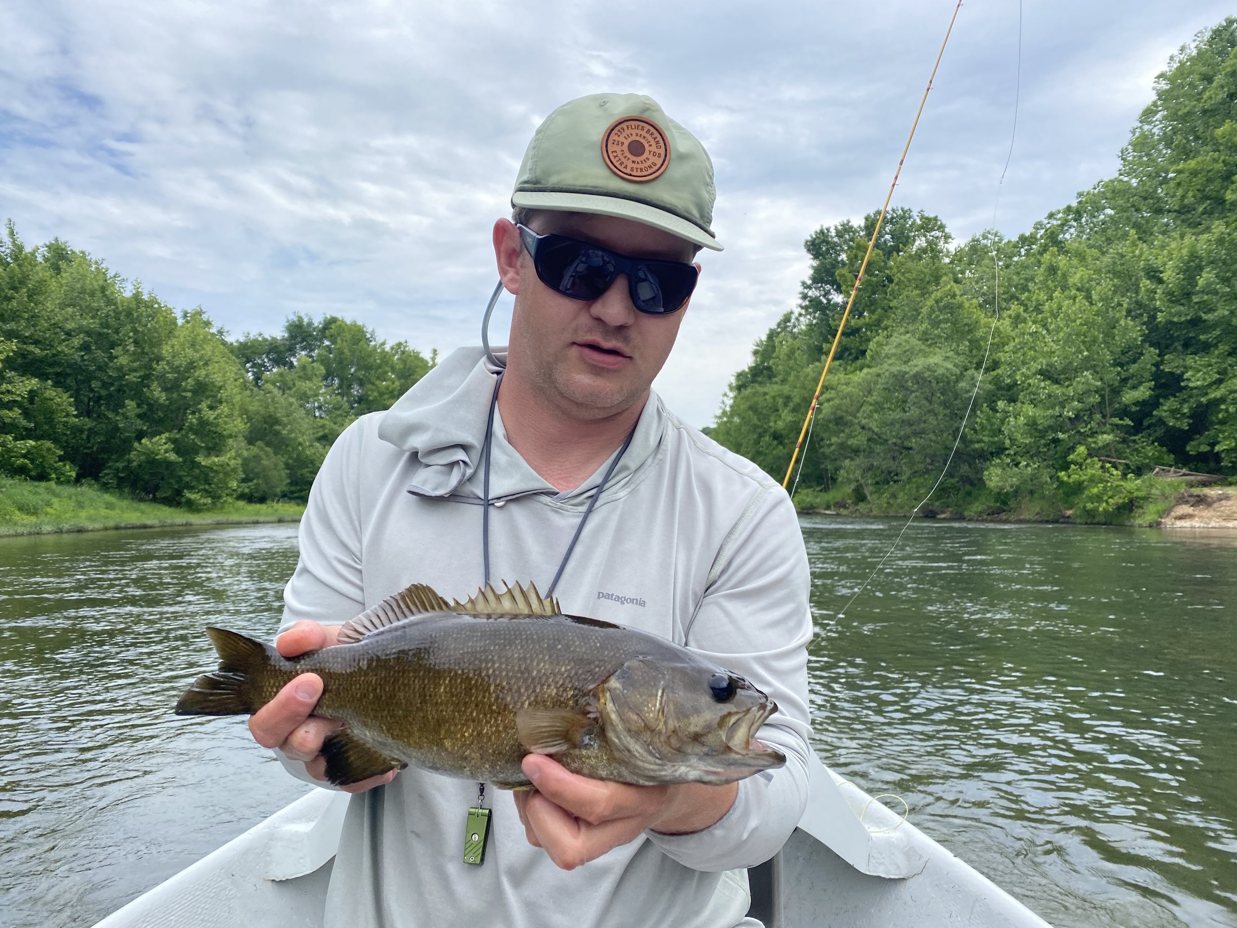 Guided fly fishing for large native Ozark smallmouth from Gasconade River Missouri.