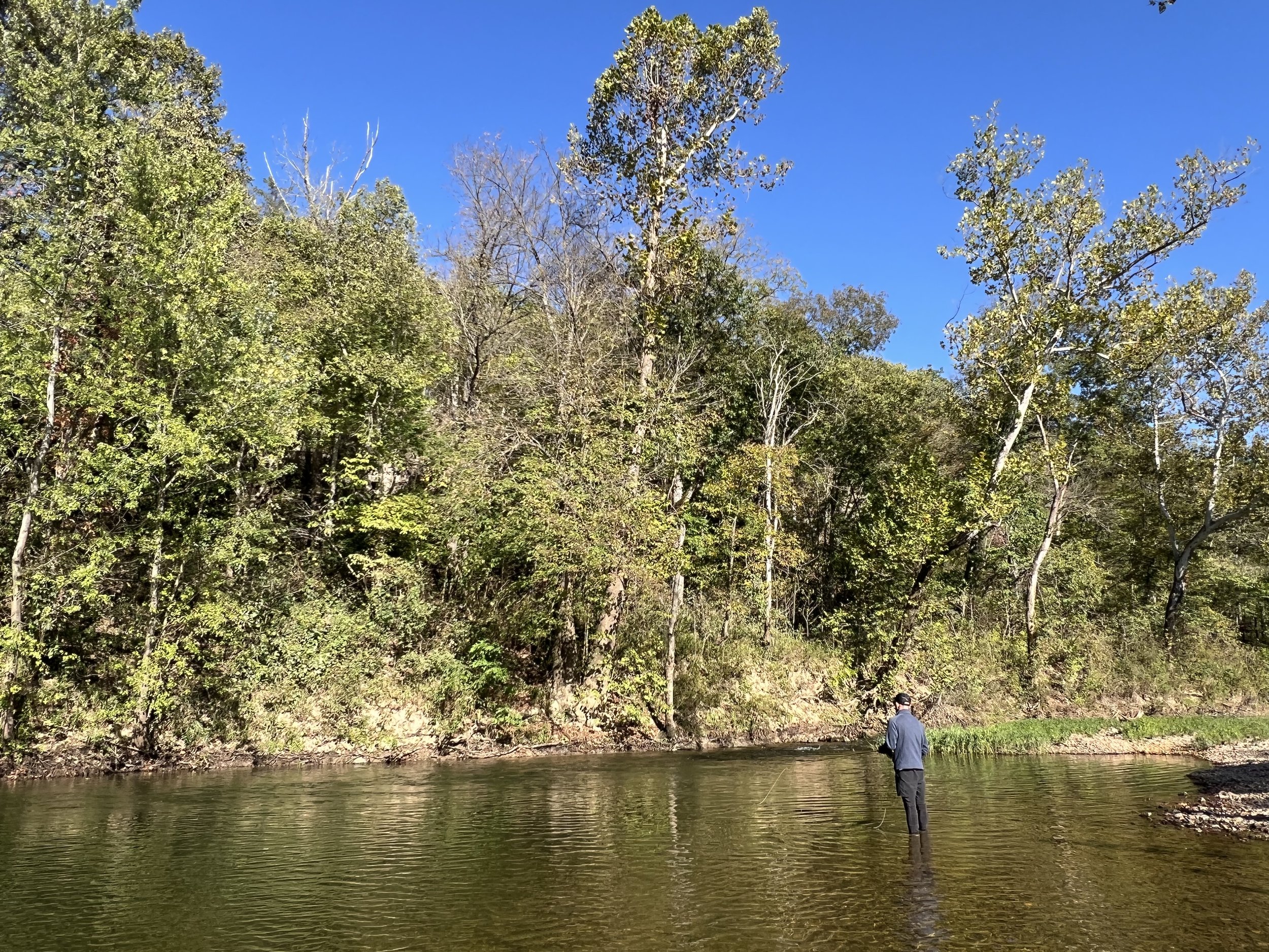 Guided fly fishing for large native Ozark smallmouth from Gasconade River Missouri.