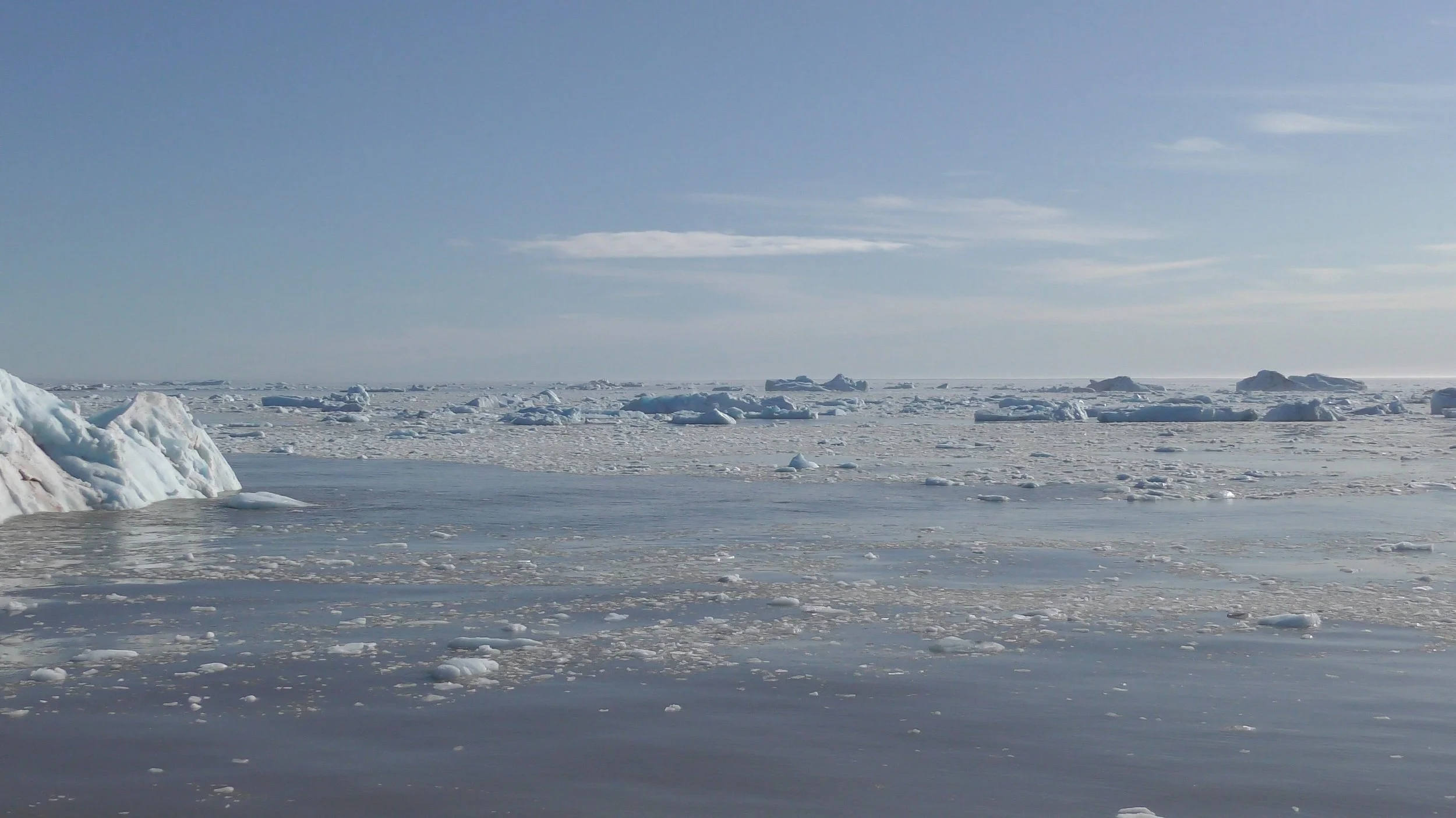 icehomeback.jpg
