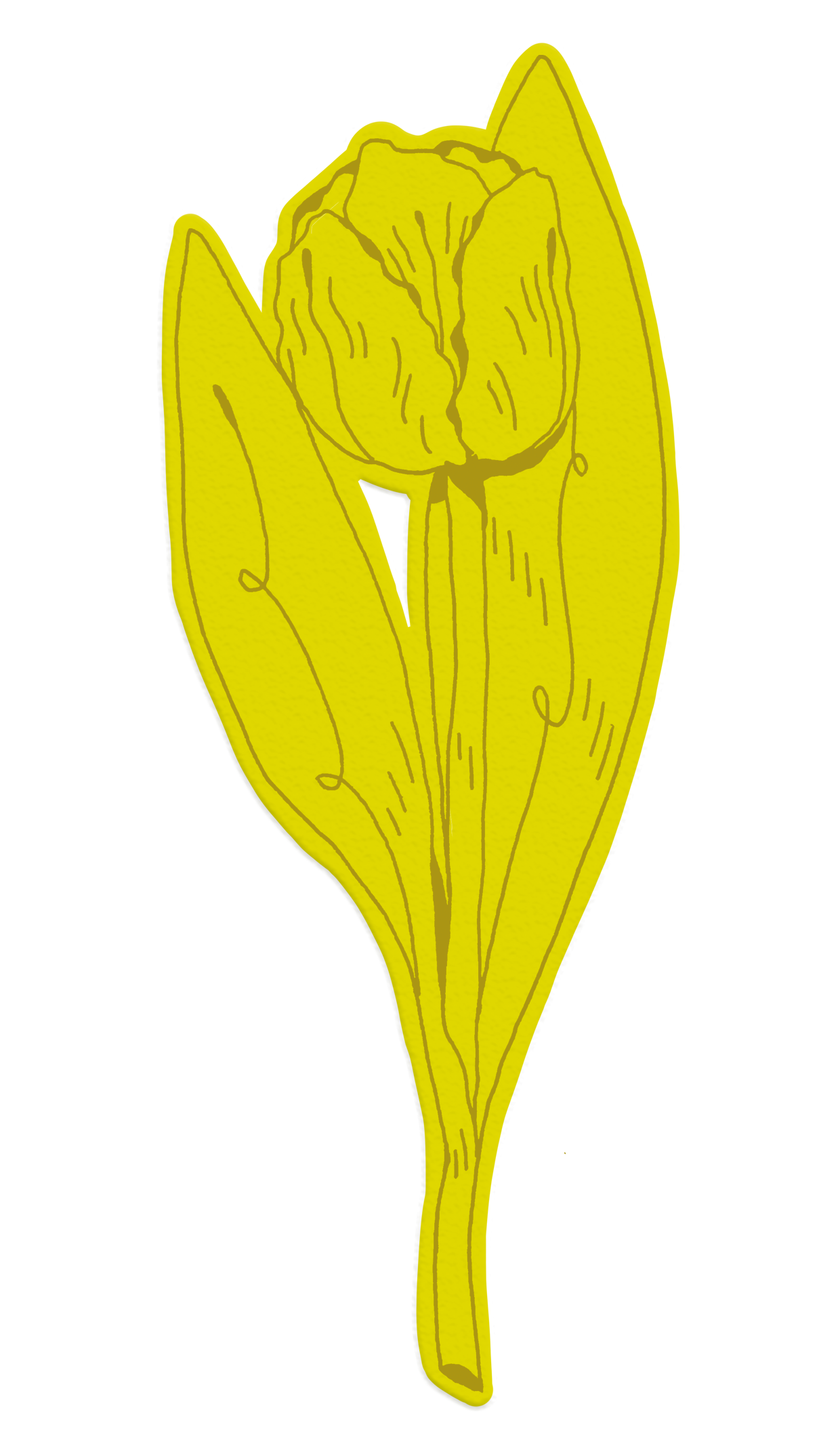 DrinkLM.png