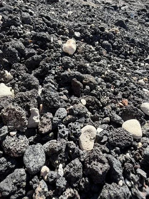 Beach littered with olivine, a raw form of Peridot.