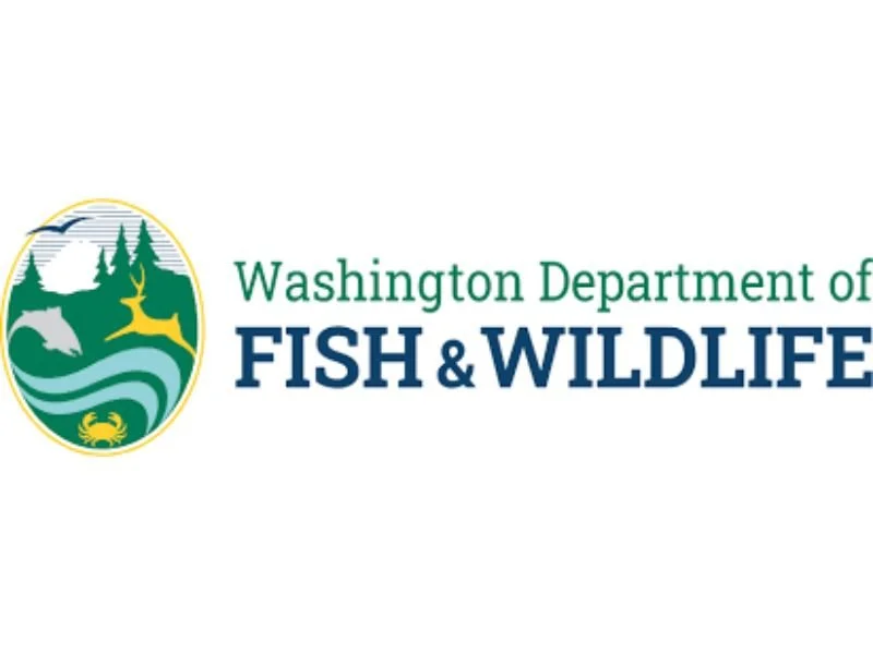 images (23)_resized.jpg