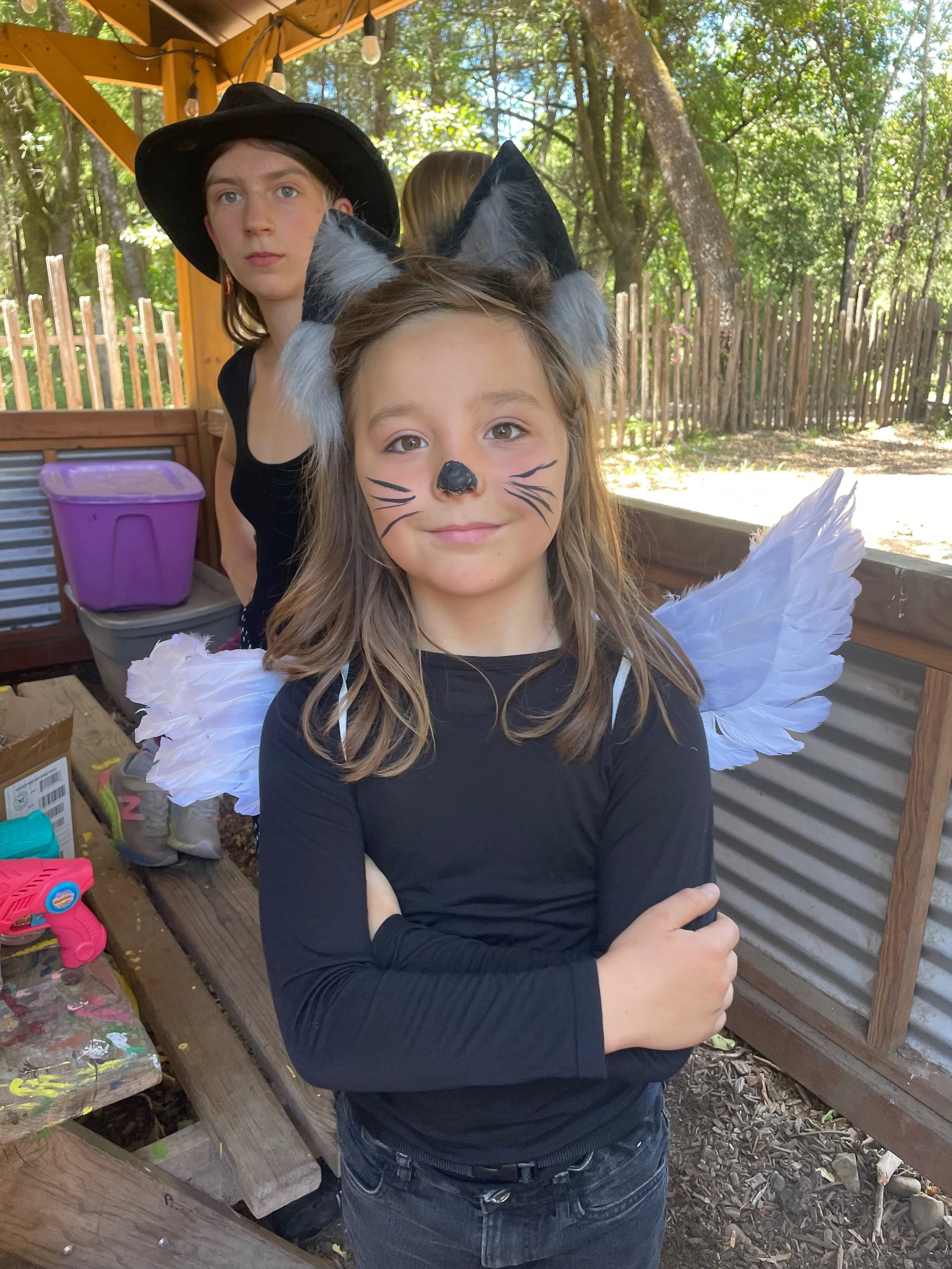 Child dressed as a cat with face paint, wearing cat ears, and holding wings over her shoulders, standing outdoors with another child dressed as a witch in the background.