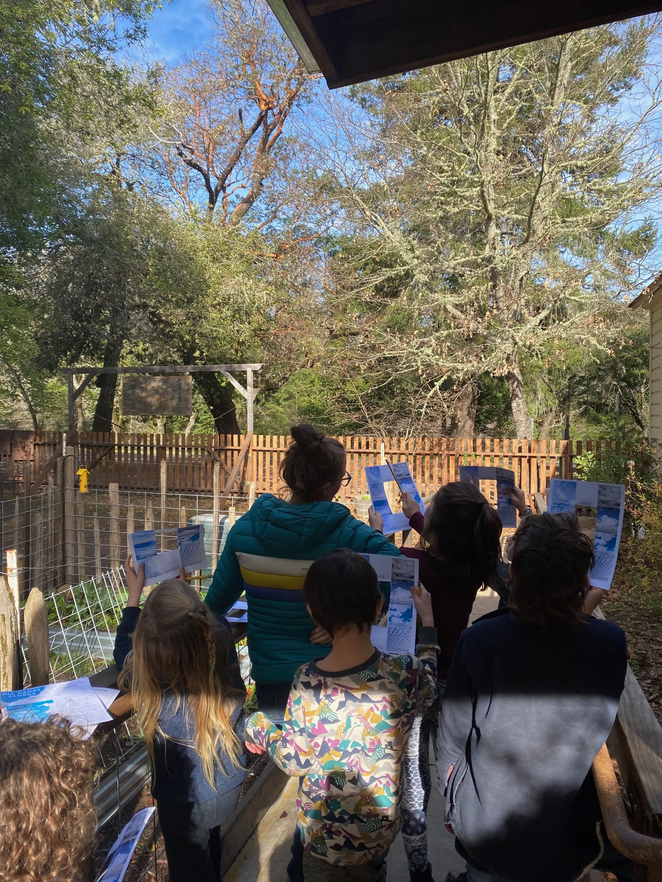 A group of children and teacher are standing outside in the backyard observing clouds.