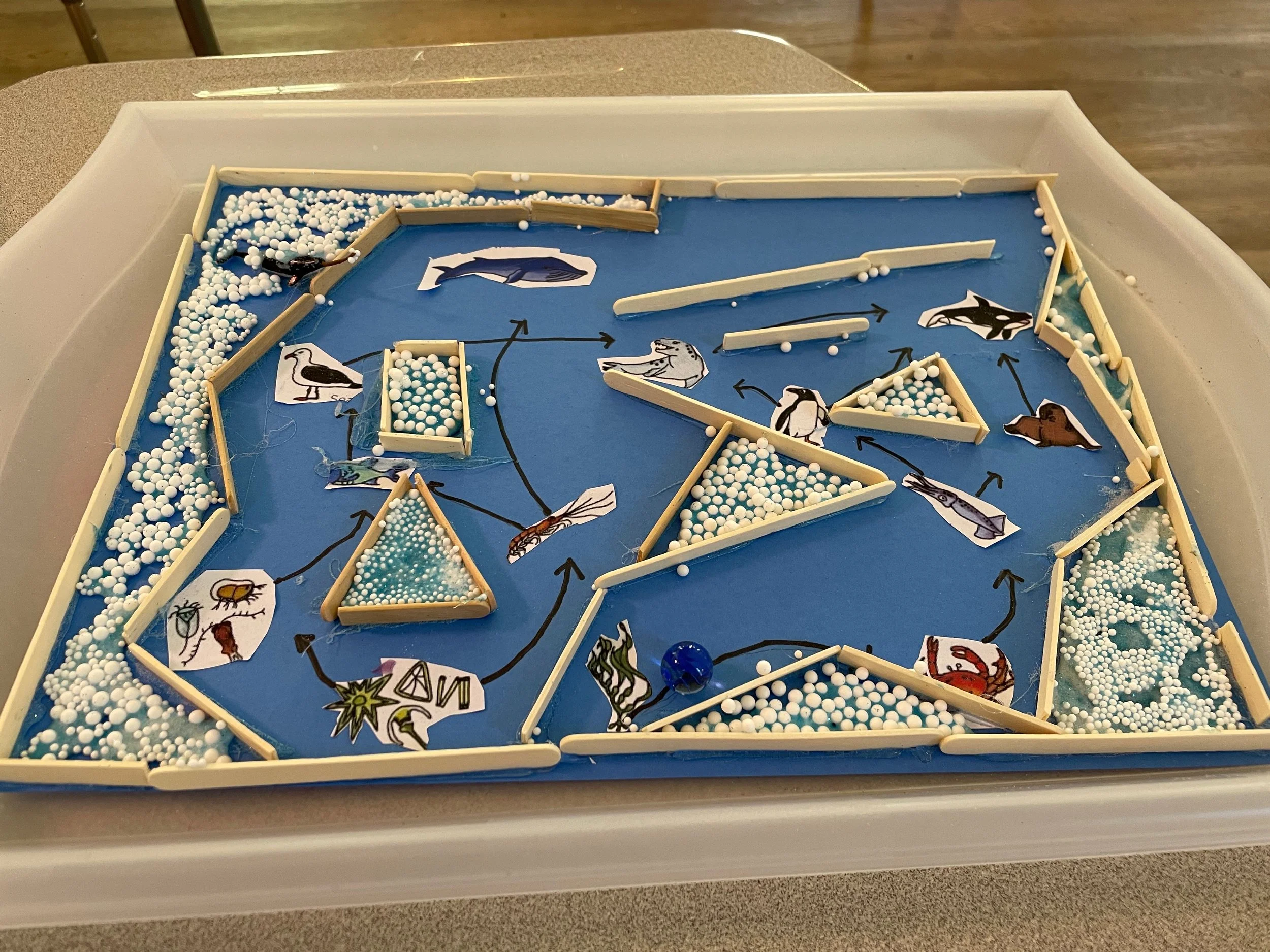 A blue ocean-themed tabletop game with various illustrated marine animals and white beads, arranged with small wooden dividers and marked with black arrows to indicate movement paths.