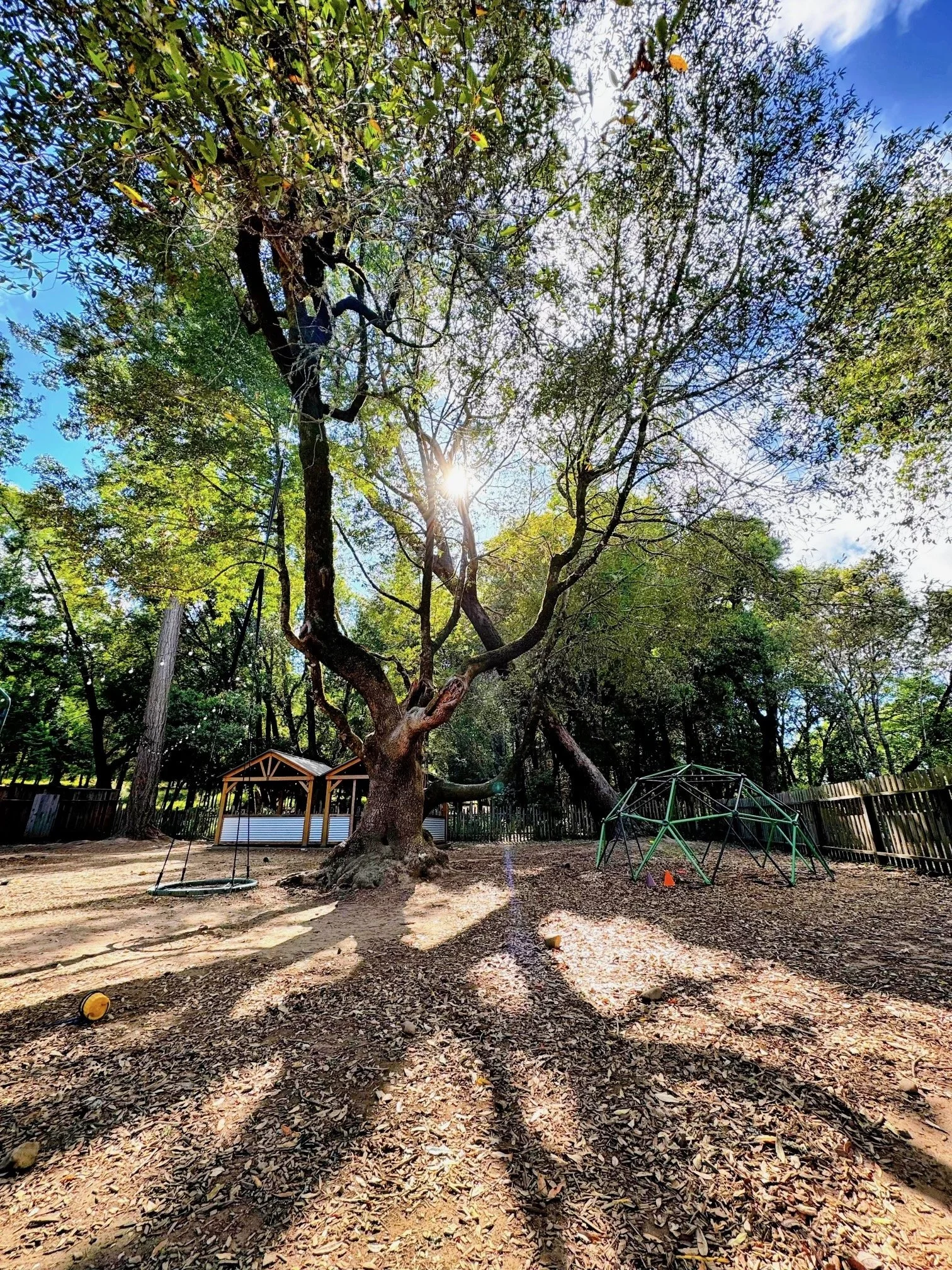 A playground with a large tree in the center surrounded by swings, a climbing dome, and a small shelter, all enclosed by a wooden fence, with sunlight filtering through the leaves and casting shadows on the ground.