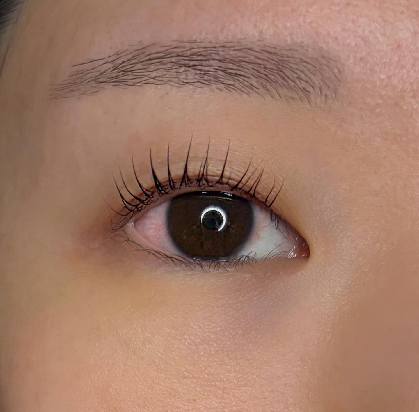 Korean Lash Lift on myself! Im too amazed that I have no words&hellip; these were LIFTED to the skies! P.S. I have stubborn asian lashes that naturally point straight down lol
&bull;
&bull;
#koreanlashlift #lashes #fyp #chicago #beauty