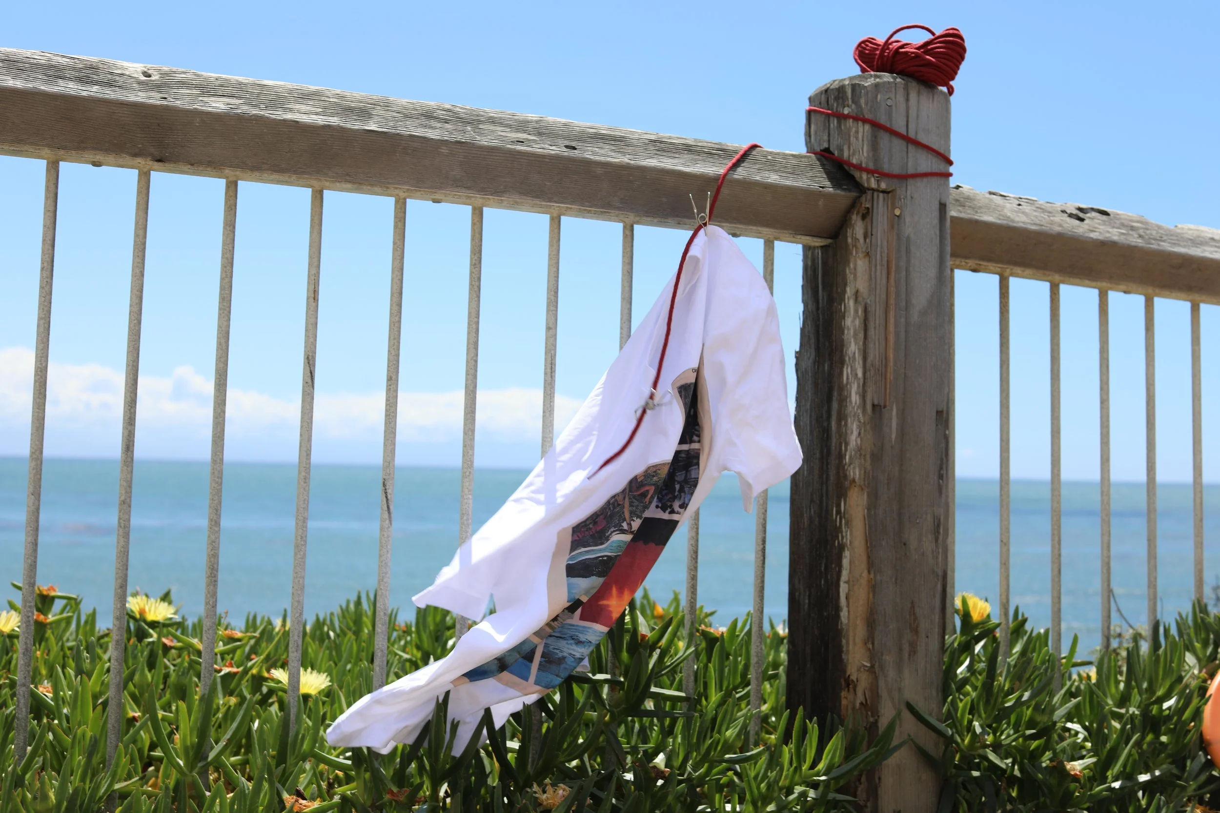 clothesline 3.JPG