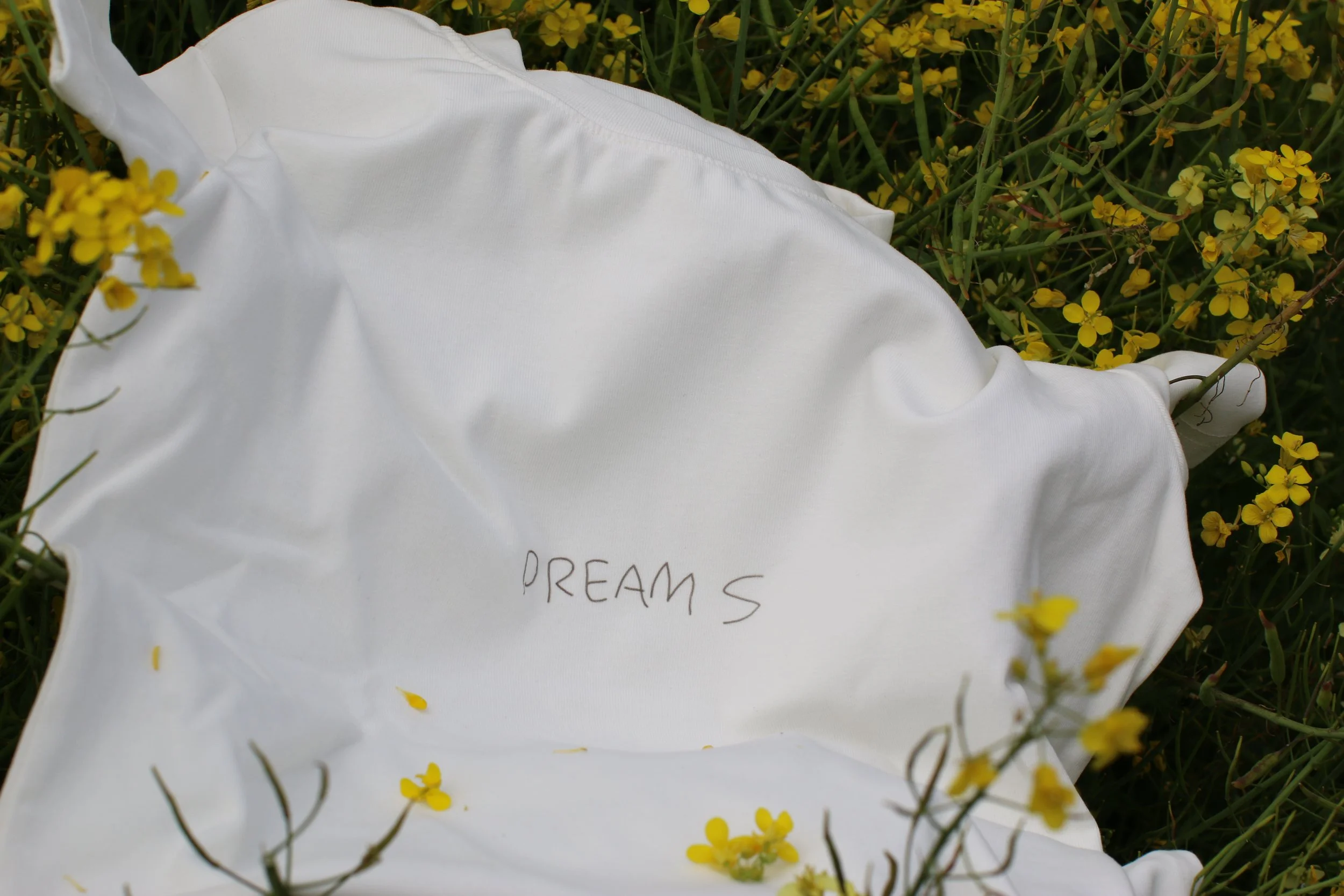 dreams are free so free your dreams