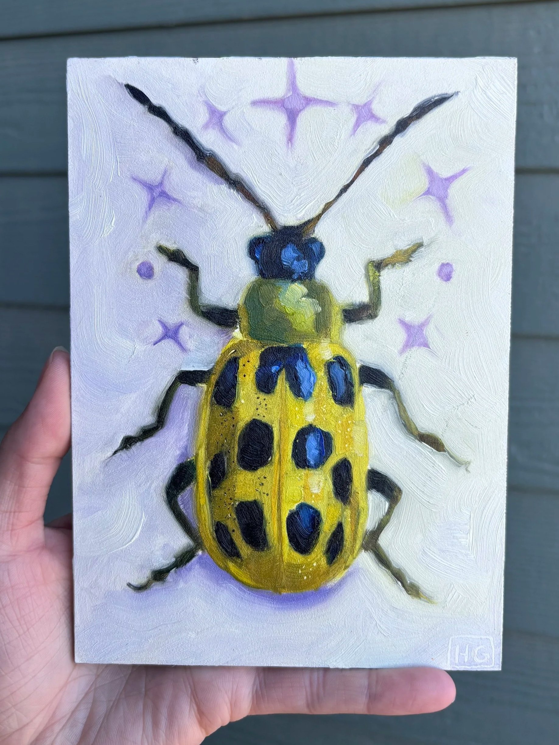 cucumber beetle