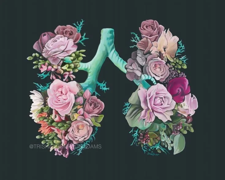 Breathwork & Sound Bath [with Aimee Cox & Sophia Manassei]