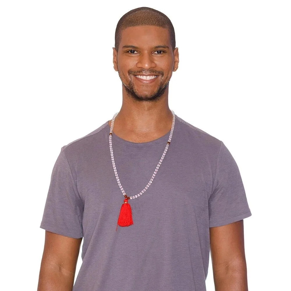 Justin Ifill[Teacher Sub]
