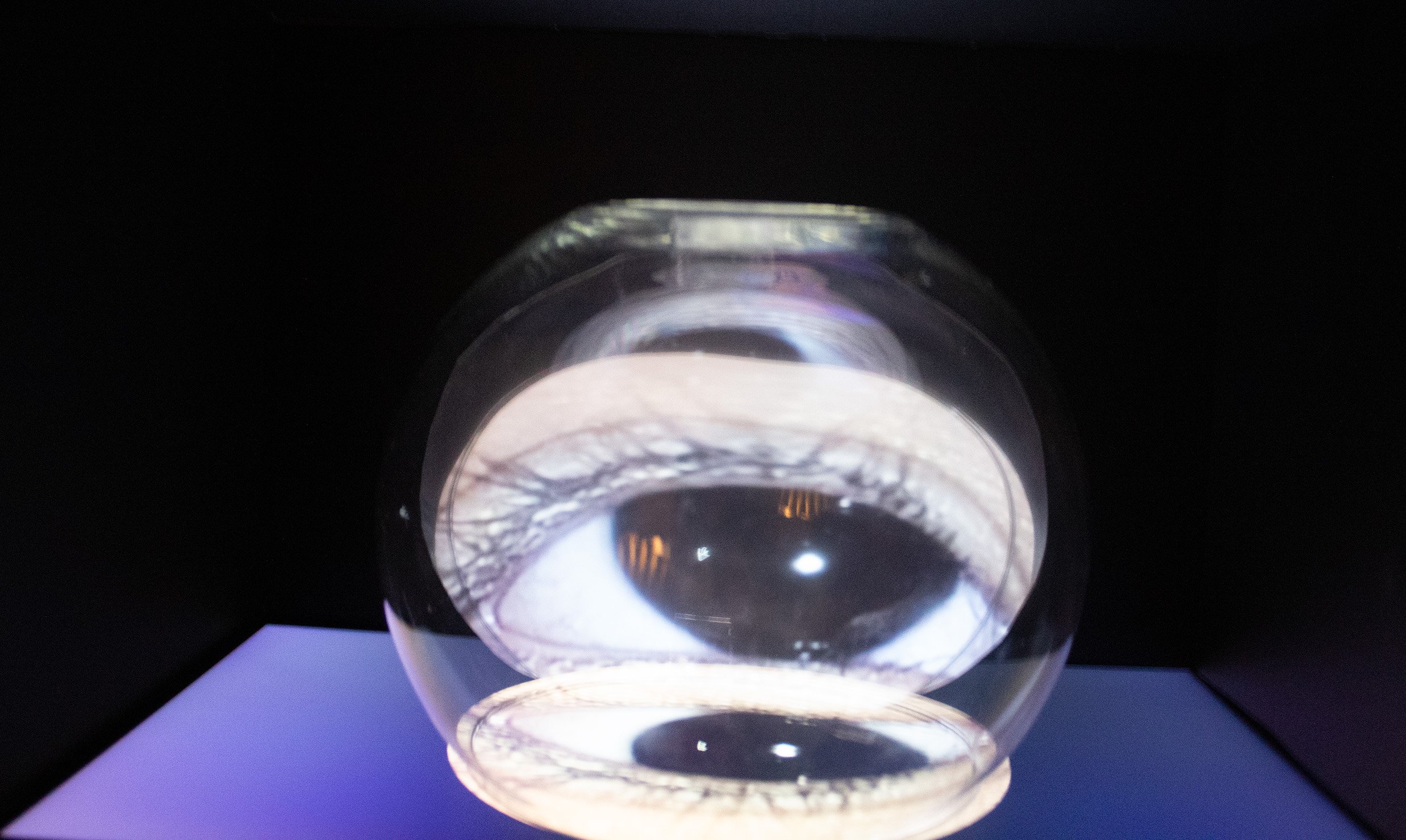 Human_PC_eye_1.jpg