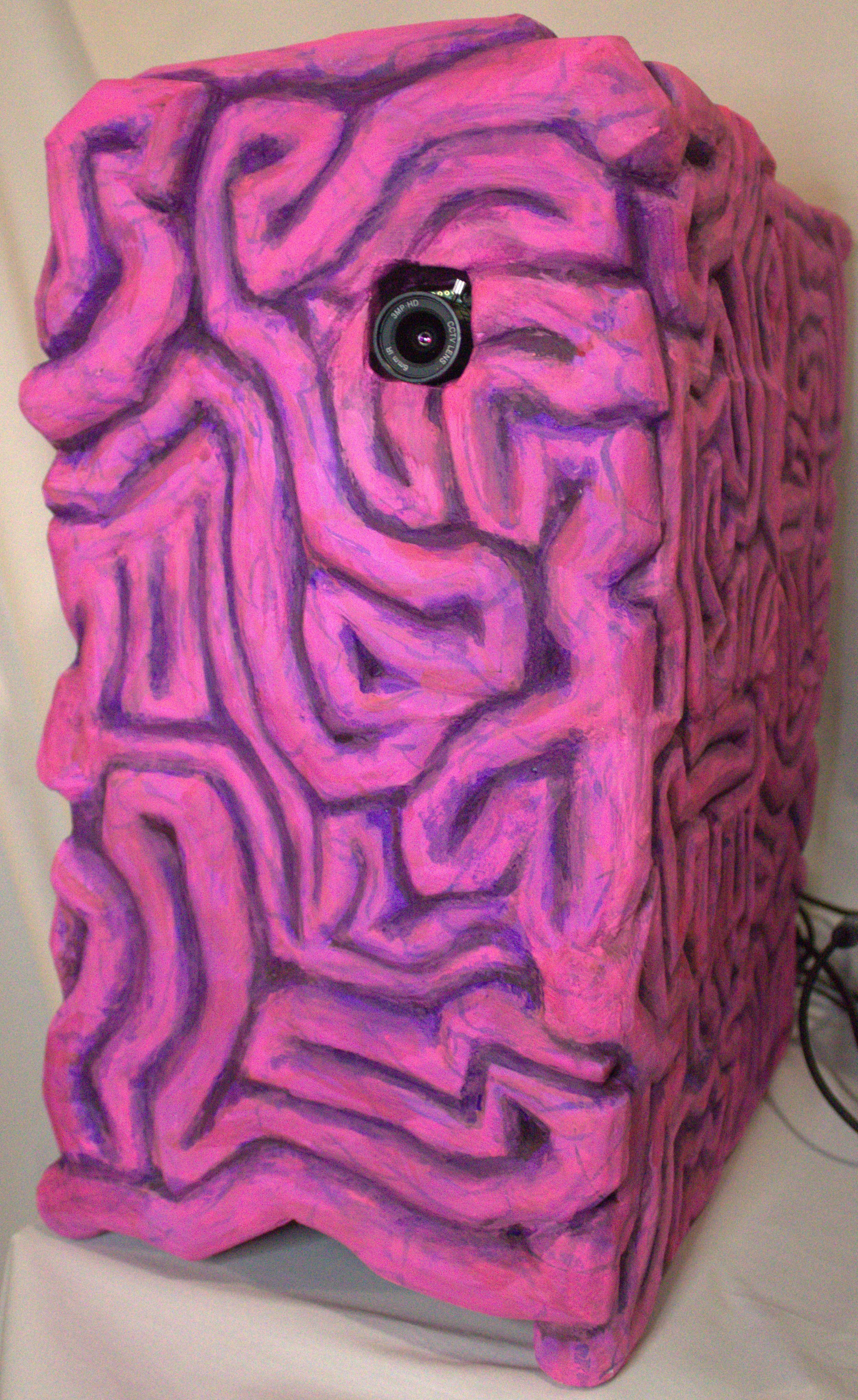 Brain_Human_PC_100.jpg