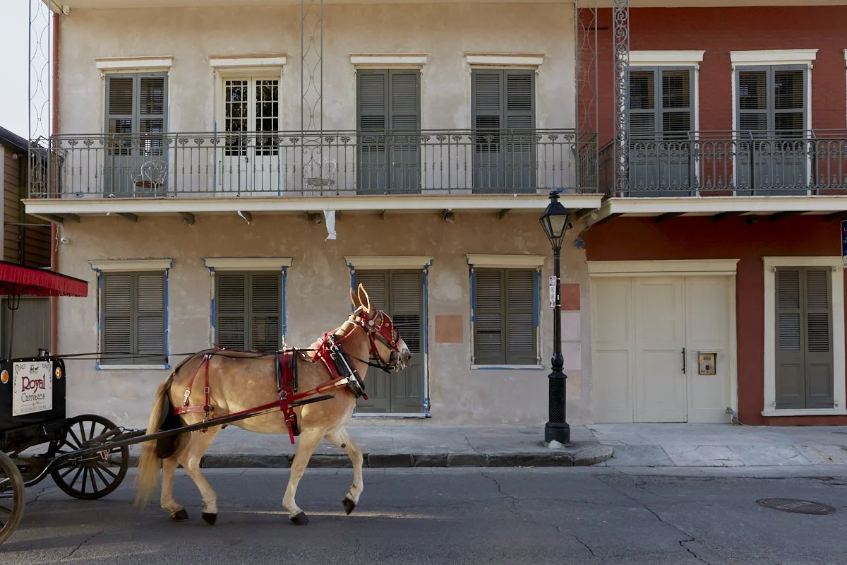 U.S. Customs House New Orleans historic masonry restoration