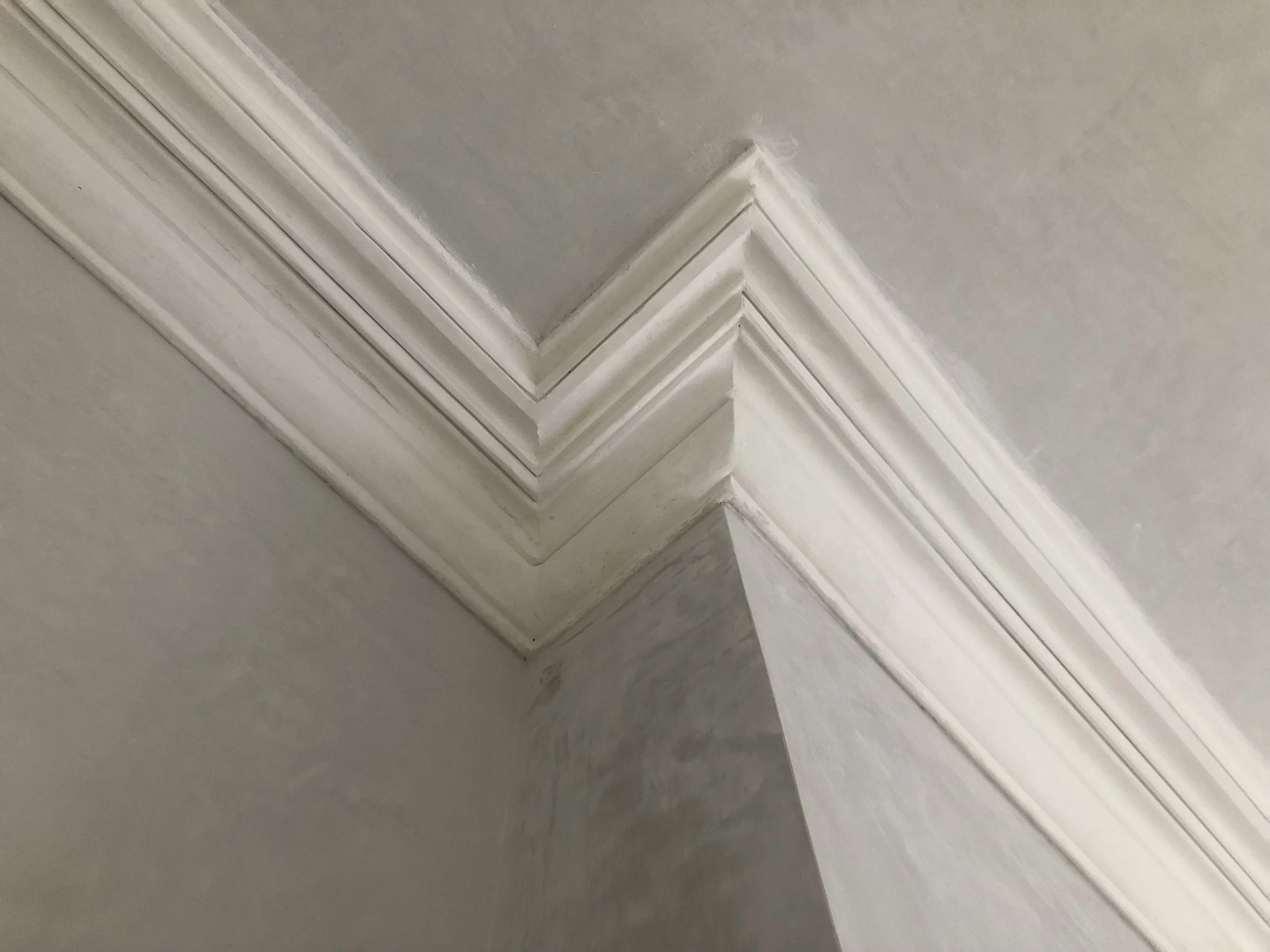 Close-up of ceiling corner with decorative crown molding painted white. Interior decorative plaster New Orleans. French Quarter plaster.